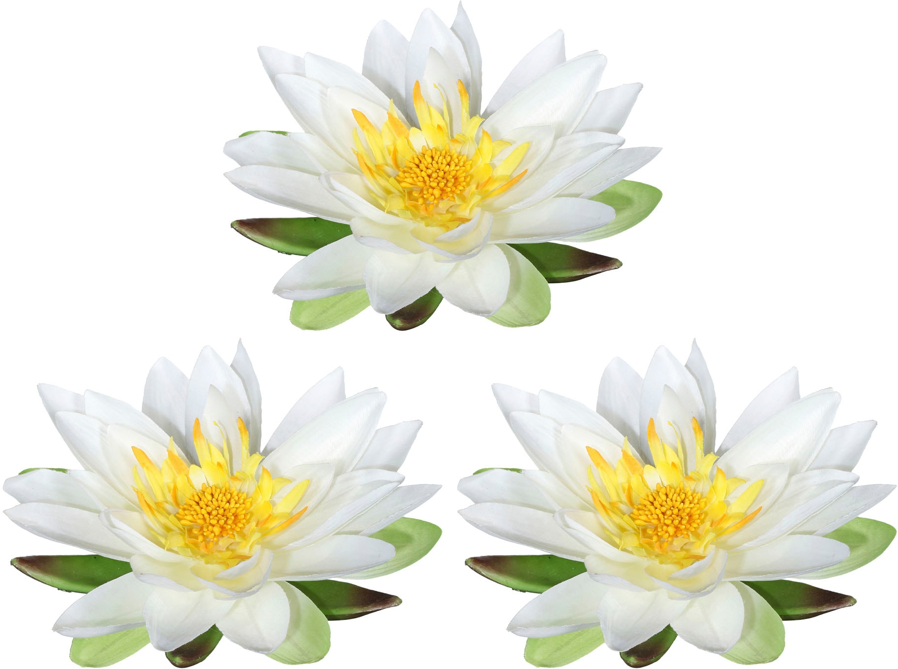 Creativ green Kunstblume »Lotusblüte«, im 3er Set