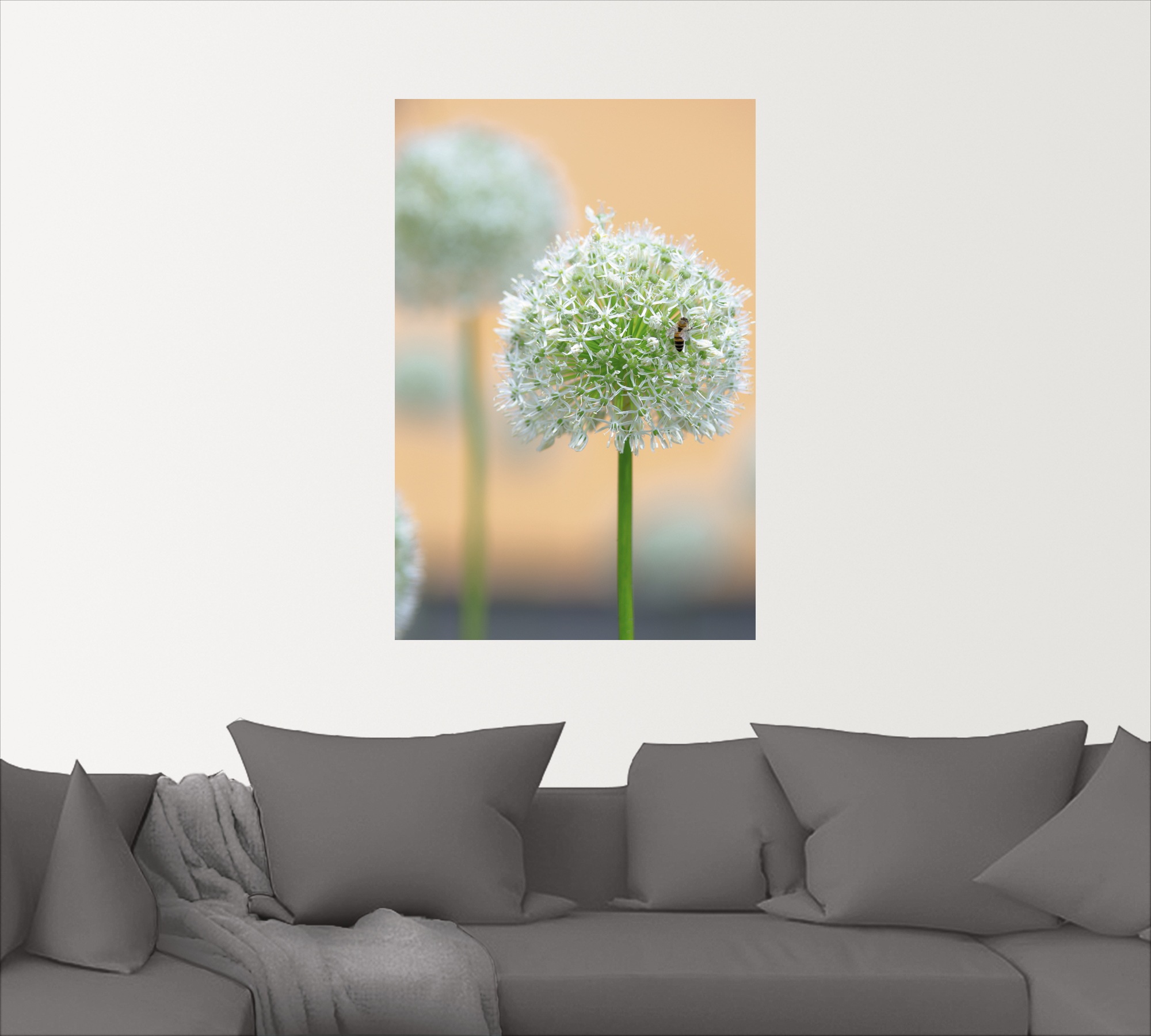 Artland Wandbild "Großer Allium in Pastell", Blumen, (1 St.), als Leinwandb günstig online kaufen