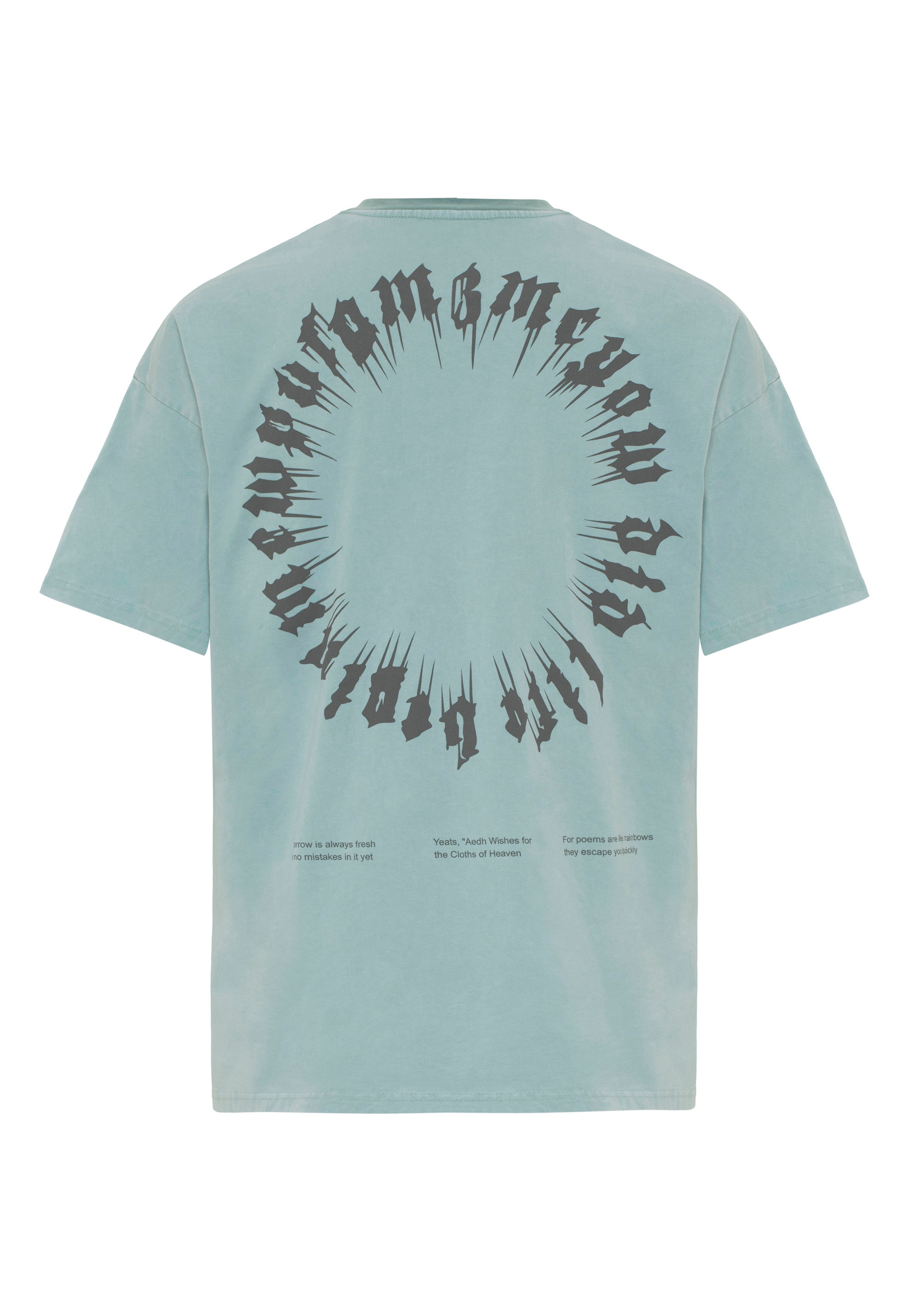 RedBridge T-Shirt »Runcorn«, mit großflächigem Print auf dem Rücken