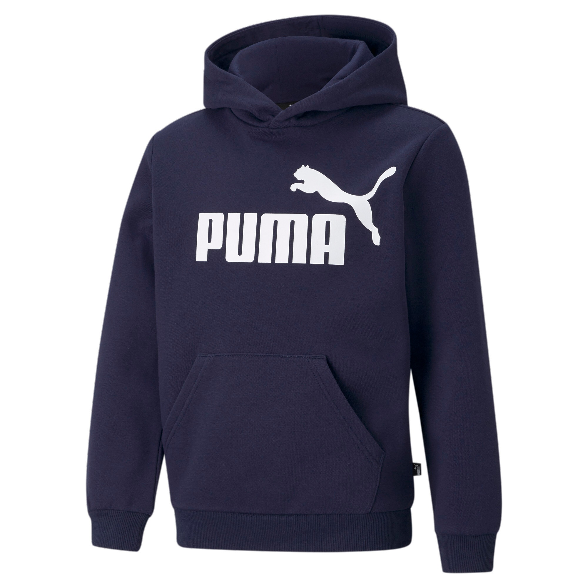 PUMA Kapuzensweatshirt »ESS BIG LOGO HOODIE FL B«