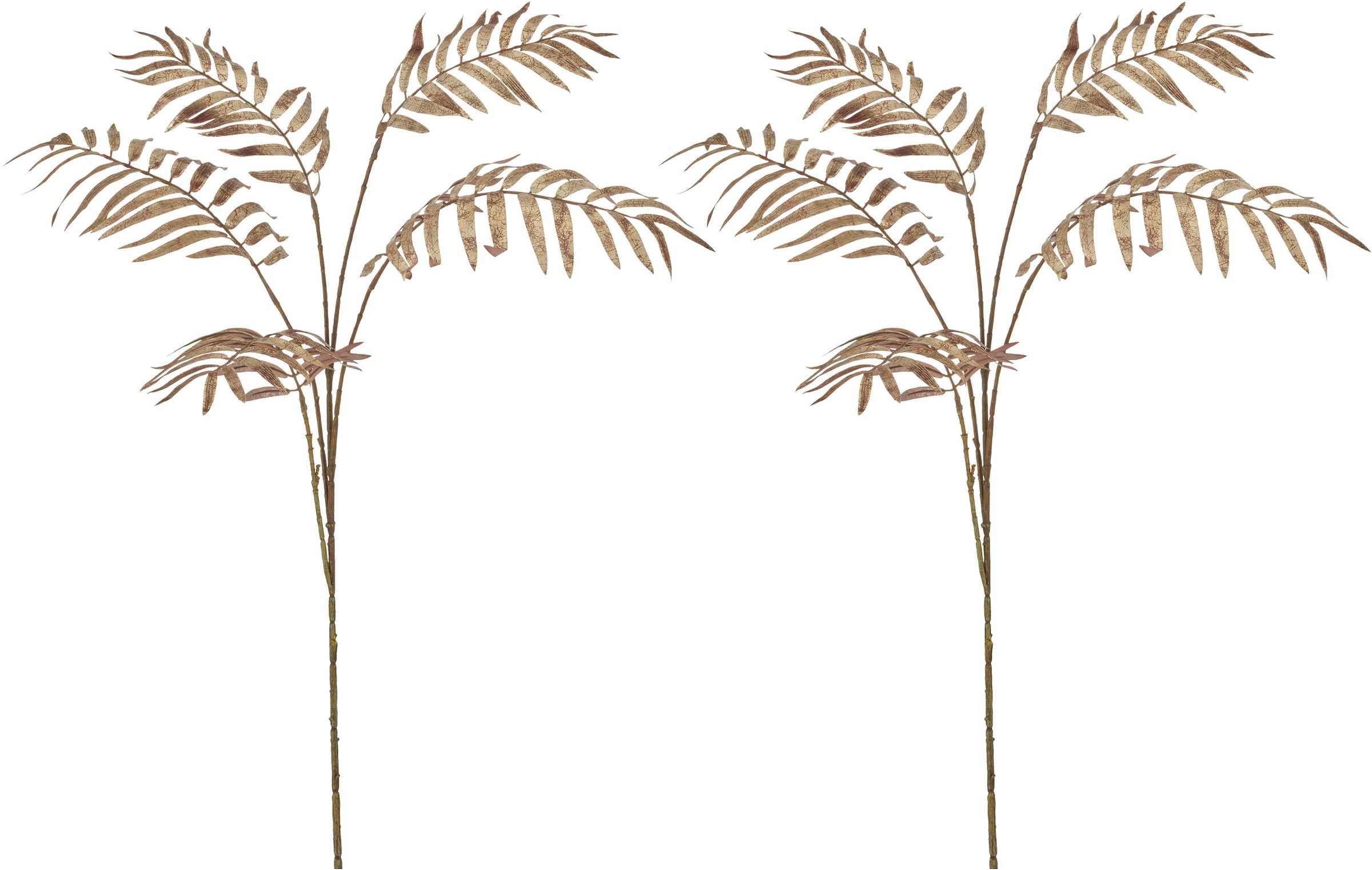 Creativ green Kunstzweig "Palmzweig" günstig online kaufen