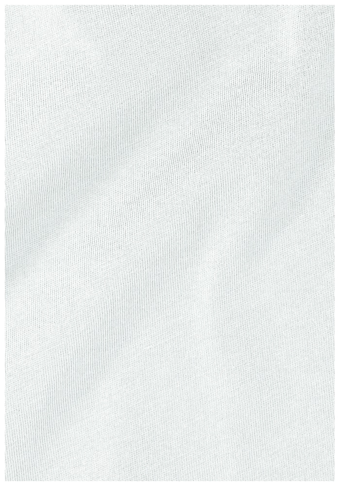 Jack Wolfskin T-Shirt »CURIOUS T W«