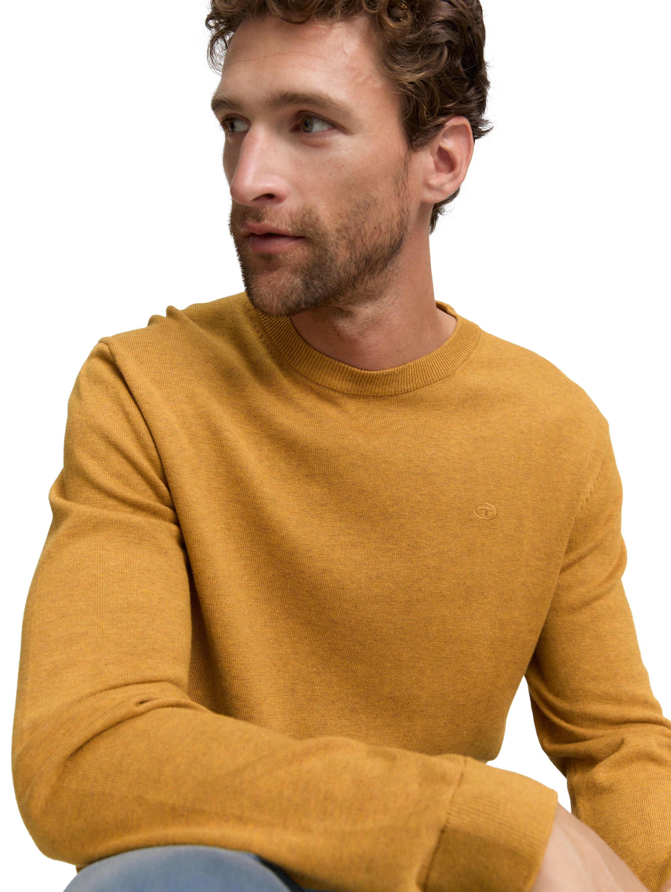 TOM TAILOR Rundhalspullover, mit Logostickerei