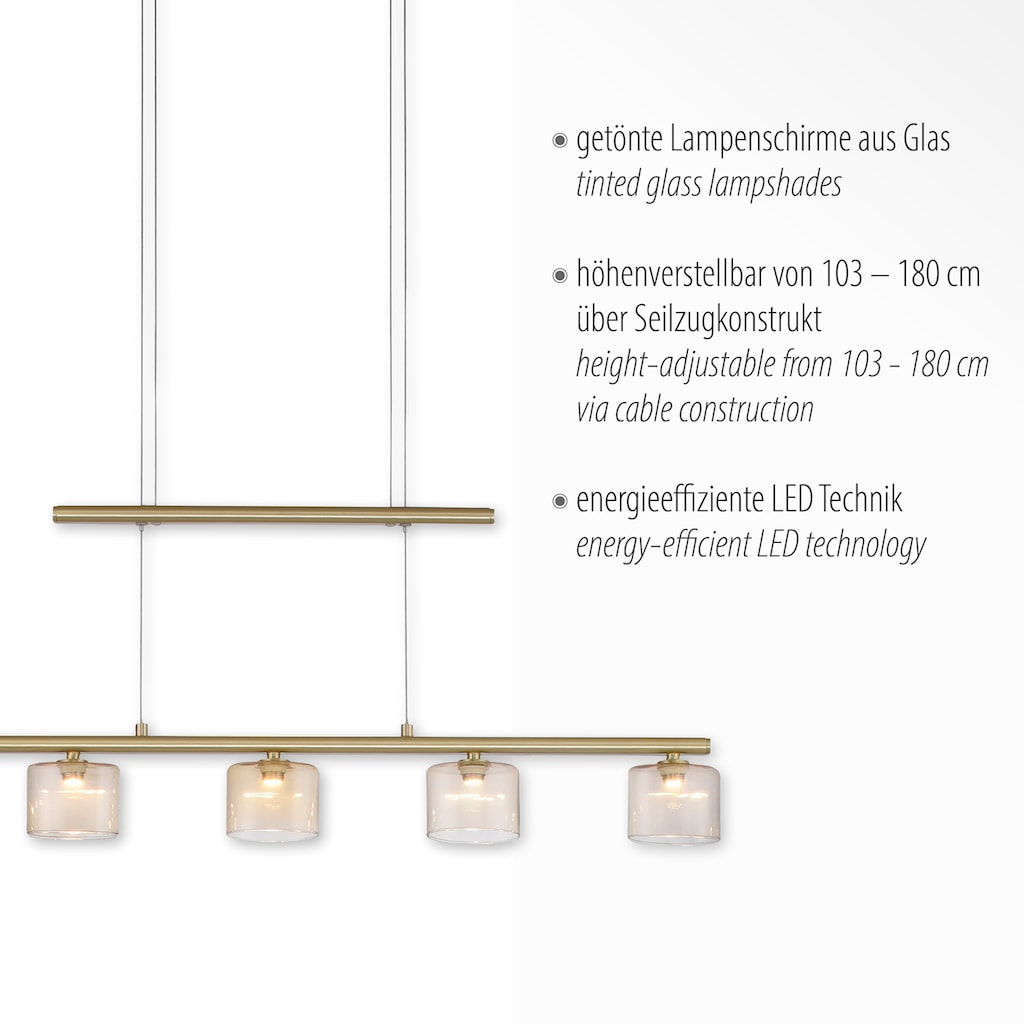 Paul Neuhaus Pendelleuchte »HYDRA«, 5 flammig-flammig, LED