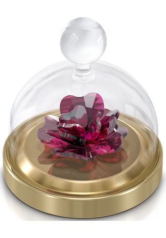 Swarovski Dekoobjekt »Garden Tales Rose Glasglocke, Klein, 5619223«, (Set, 3 St.),... kaufen