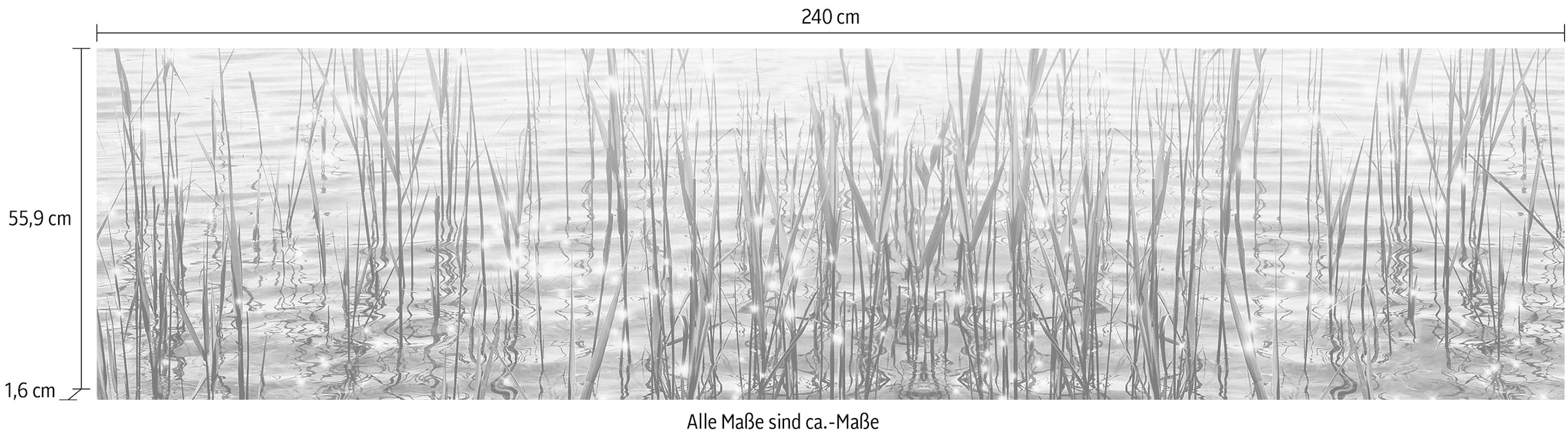 Express Küchen Küchenrückwand »Seegras«, (1 tlg.)