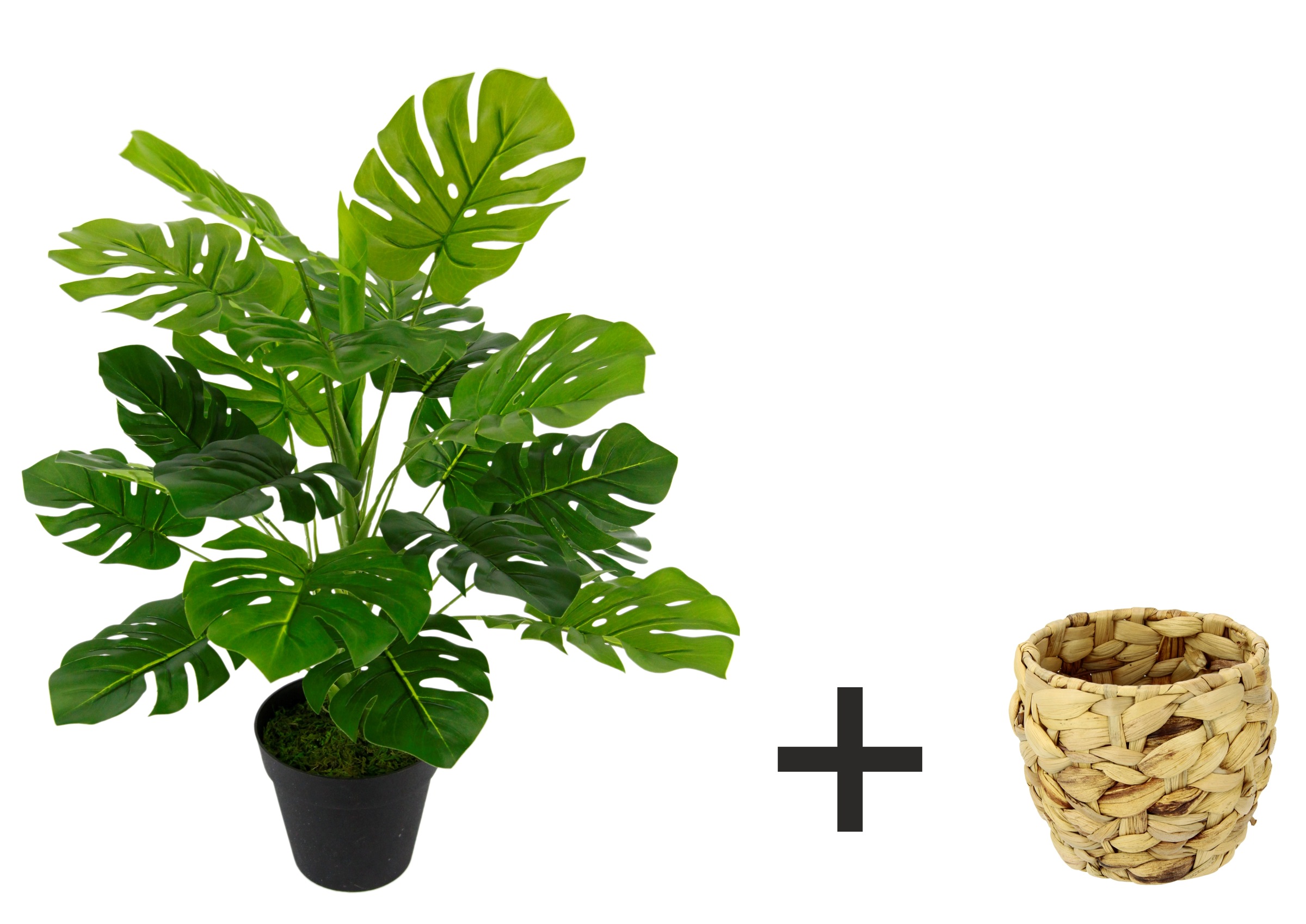 I.GE.A. Kunstpflanze "Monstera", Mit Übertopf künstlicheSplitphilo-Pflanze günstig online kaufen