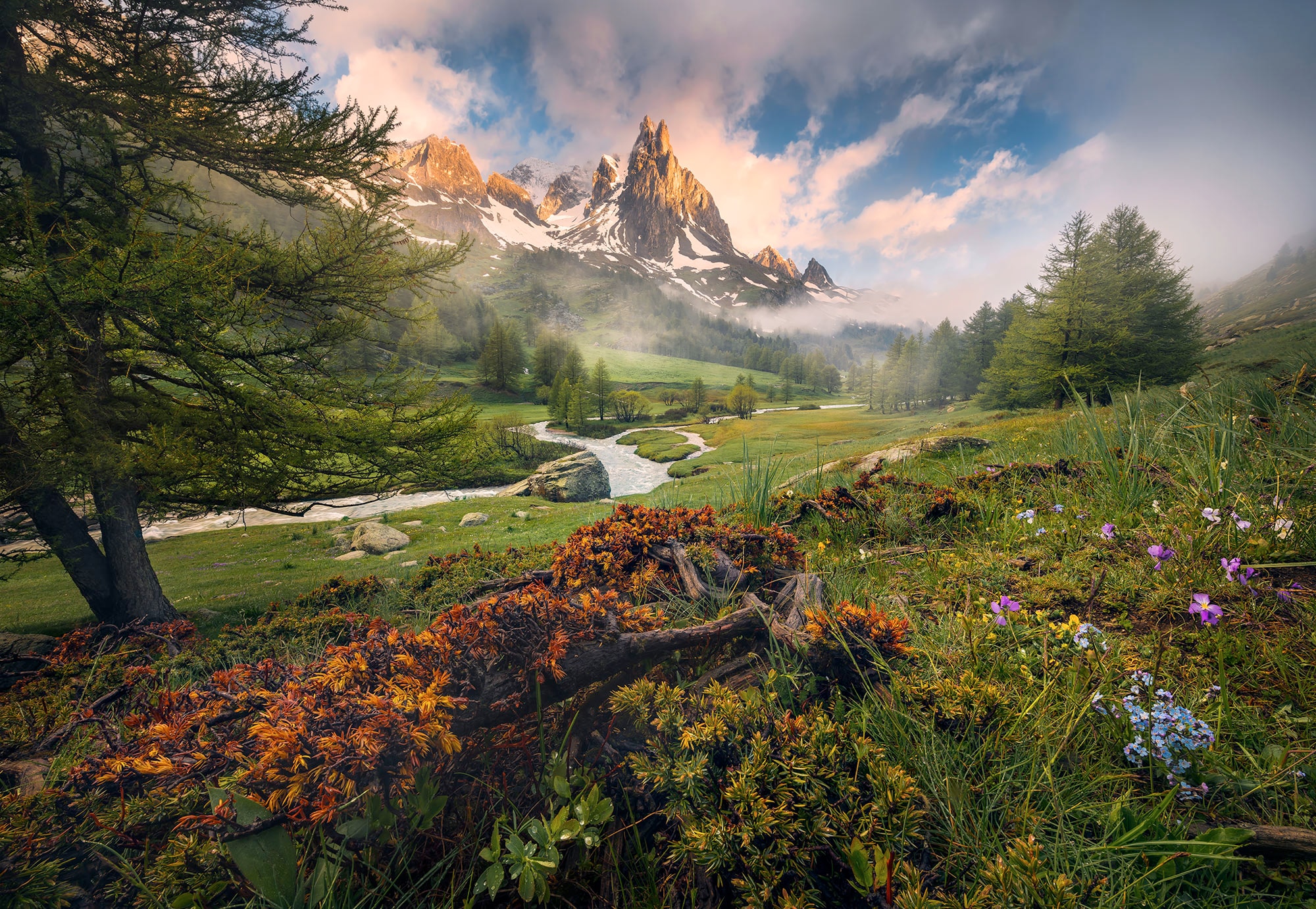 Komar Fototapete "Morning Walk - Größe 368 x 254 cm" bedruckt glatt Wohnzimmer, Schlafzimmer