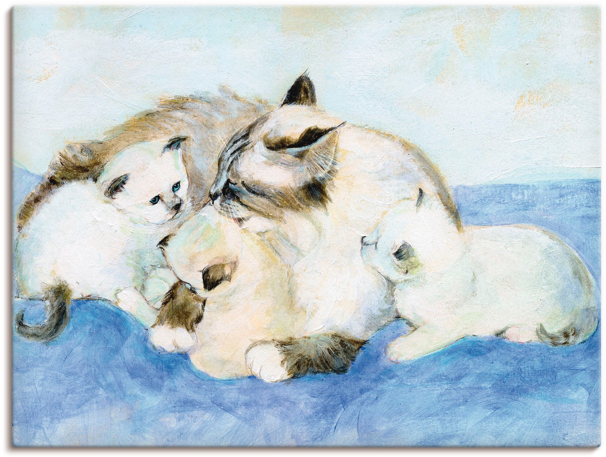 Artland Leinwandbild "Katzenfamilie" Haustiere 1 Stk. tlg. auf Holzrahmen gespannt