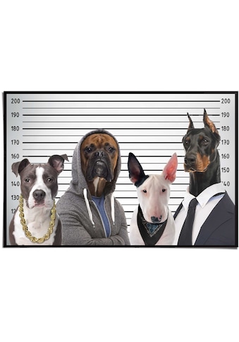 Reinders! Poster »Hunde Mug Shot« (1 St.)