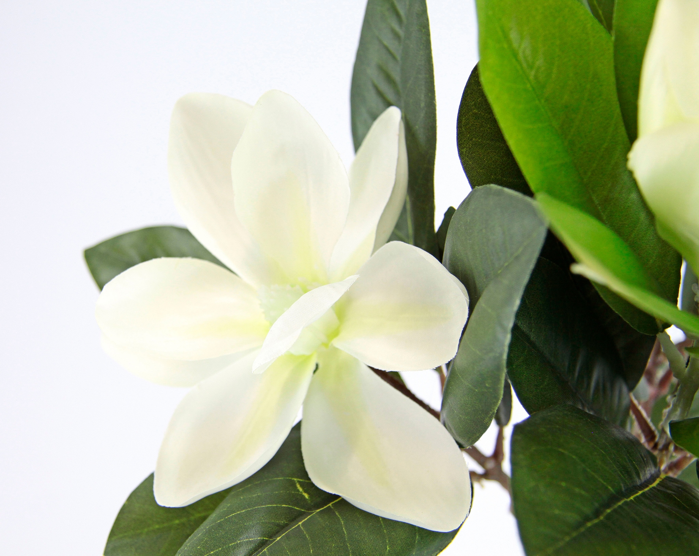 I.GE.A. Kunstblume »Magnolie«, Im Topf Magnolienbusch künstlich Frühling Seidenblumen Raumdeko