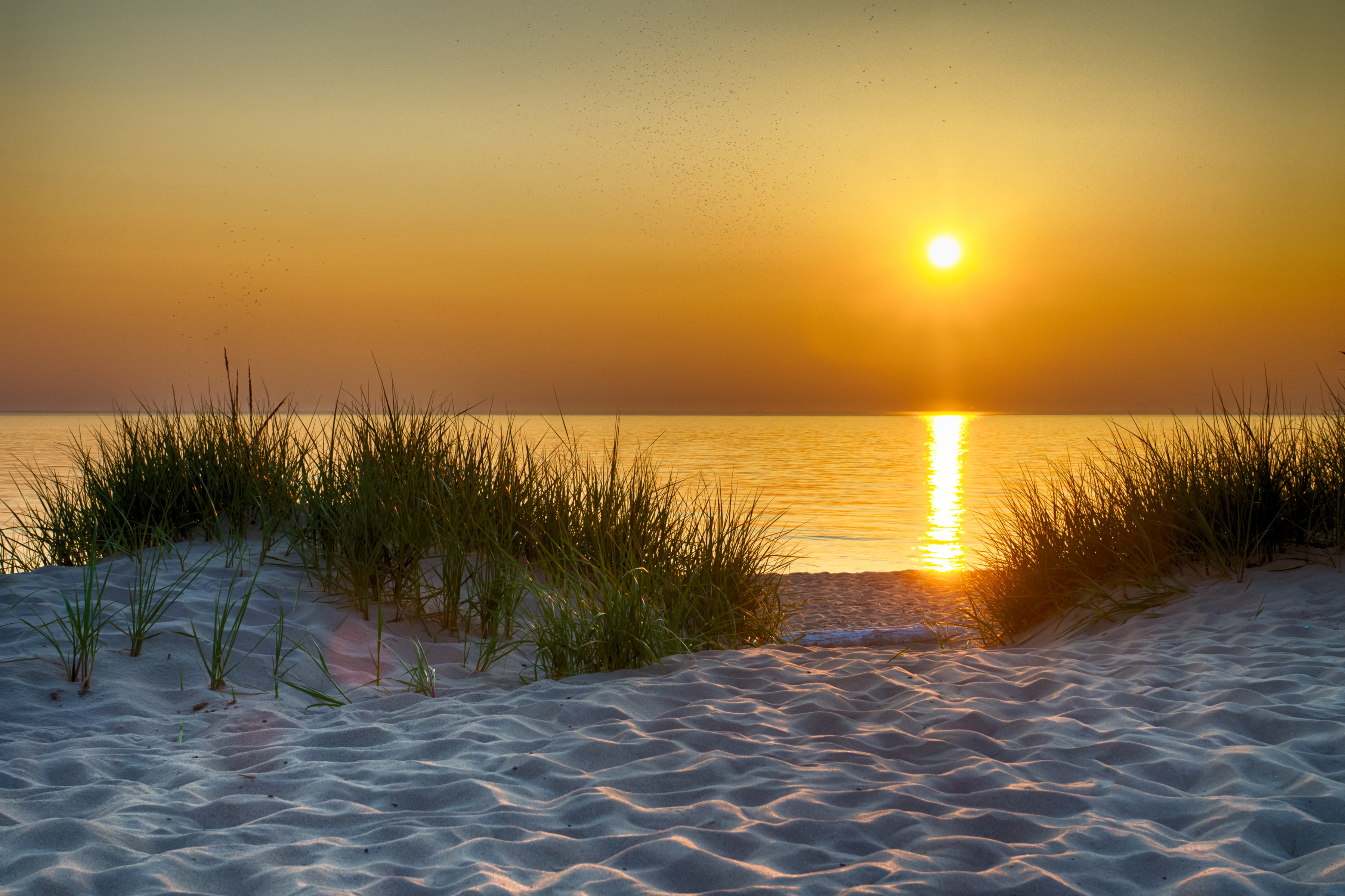 Papermoon Fototapete "Dunes Lake Michigan" glatt