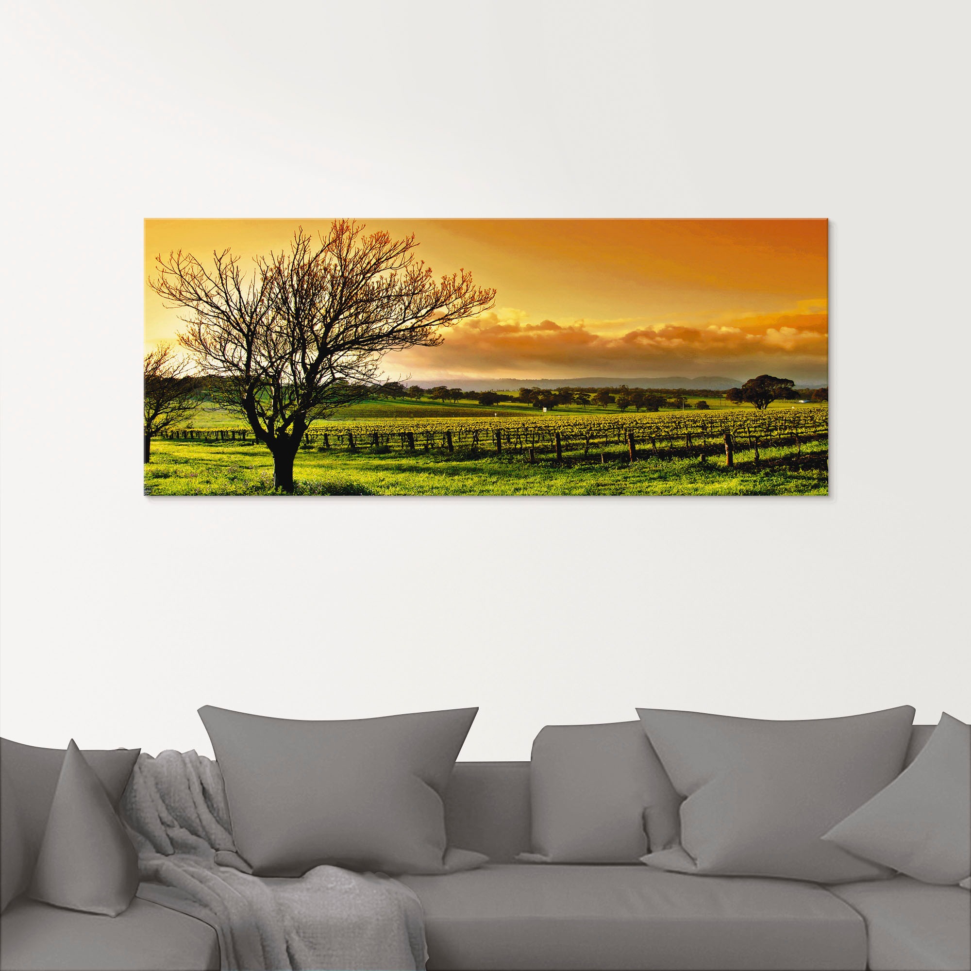 Artland Glasbild "Landschaft mit Weinbergen", Felder, (3 St.), in verschied günstig online kaufen