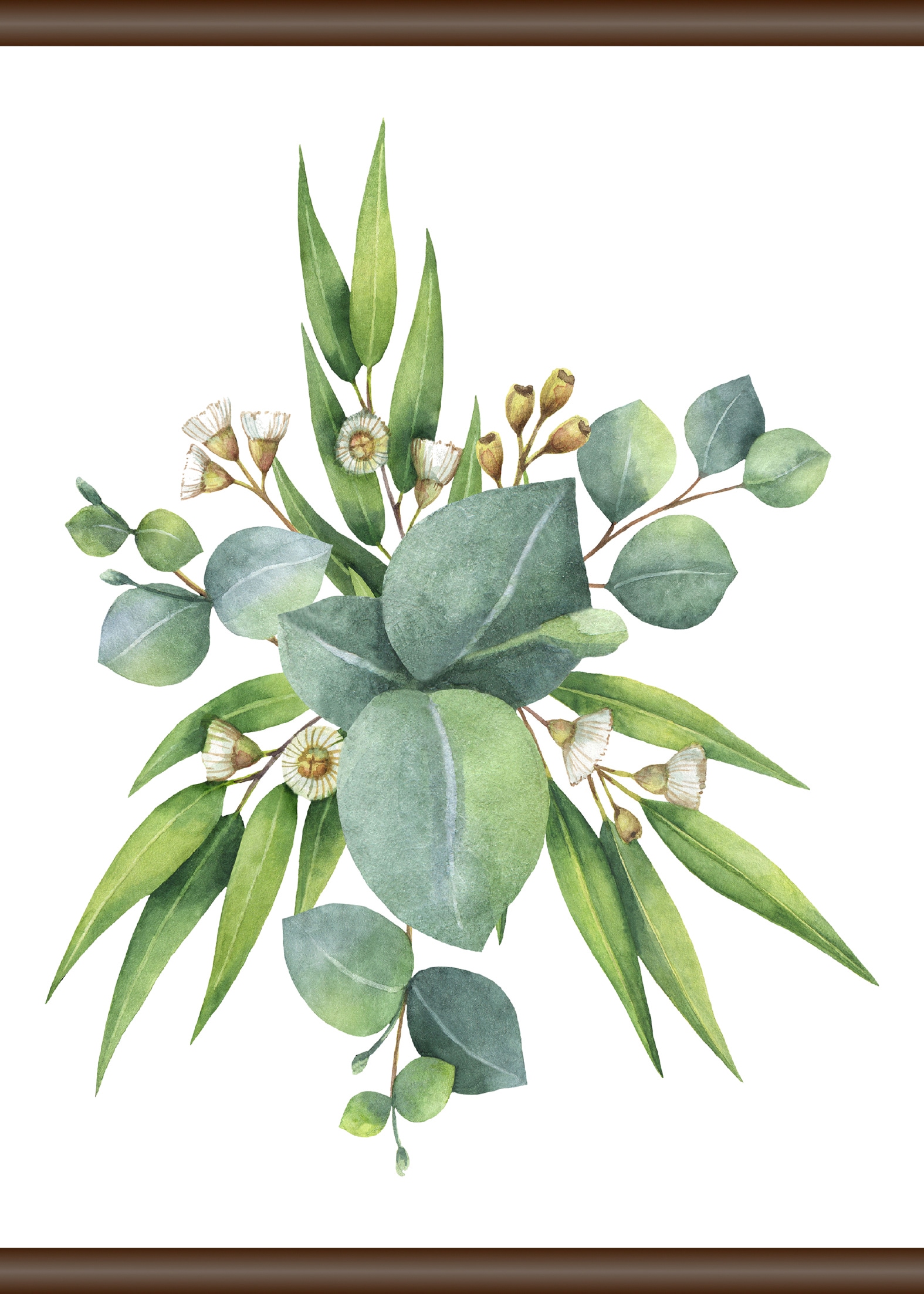 queence Leinwandbild "Eukalyptus Pflanze", 50x70 cm
