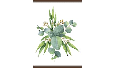 queence Leinwandbild »Eukalyptus Pflanze«, 50x70 cm kaufen