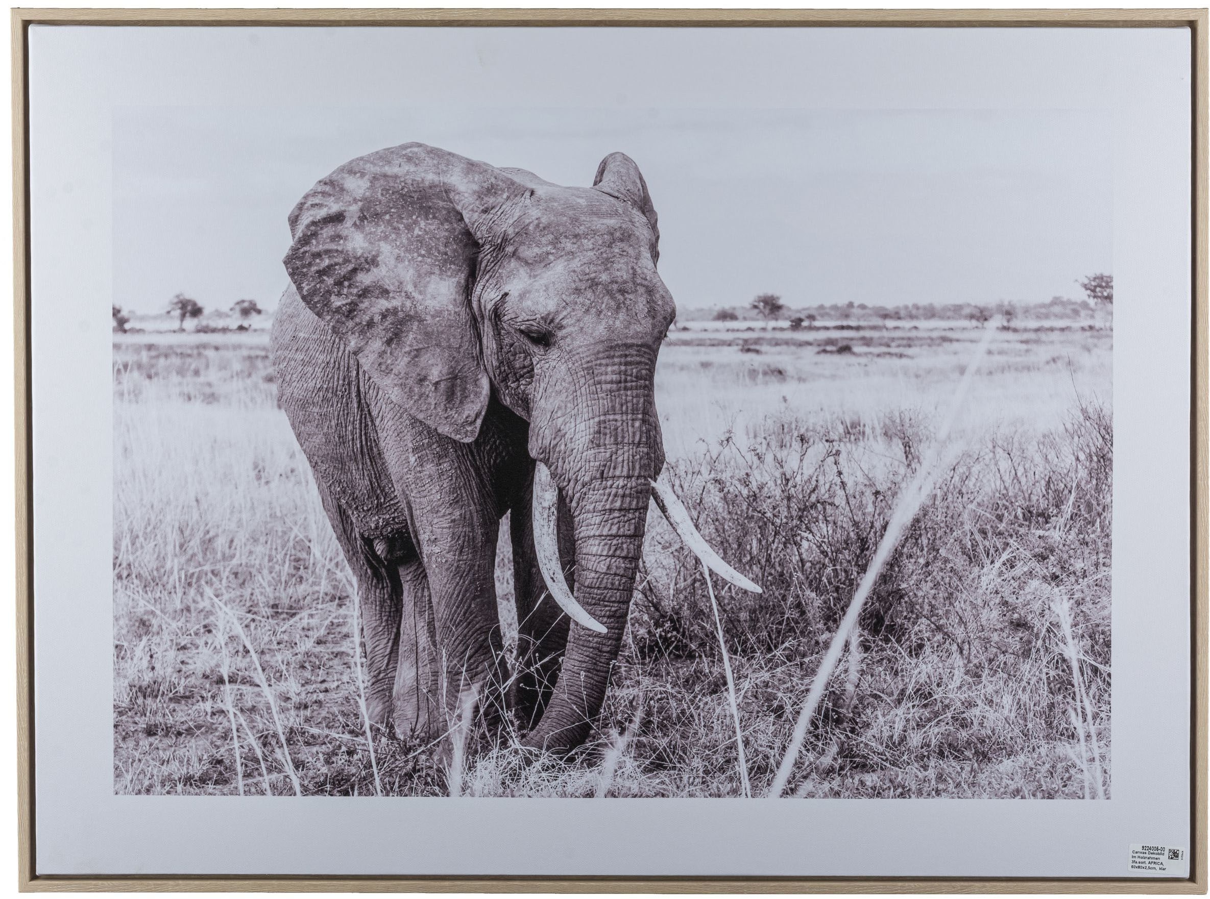 Creativ home Bild mit Rahmen "Elefant", (1 St.), mit schwarz-weißem Motiv günstig online kaufen