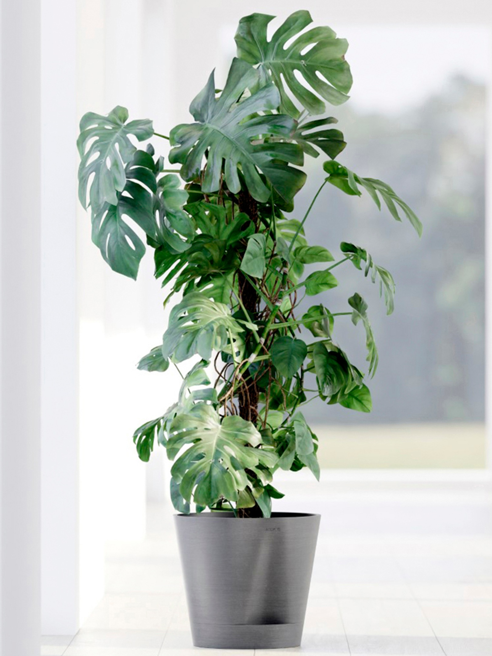 ECOPOTS Blumentopf »Venice 2 30 Grau«, für den Innenbereich