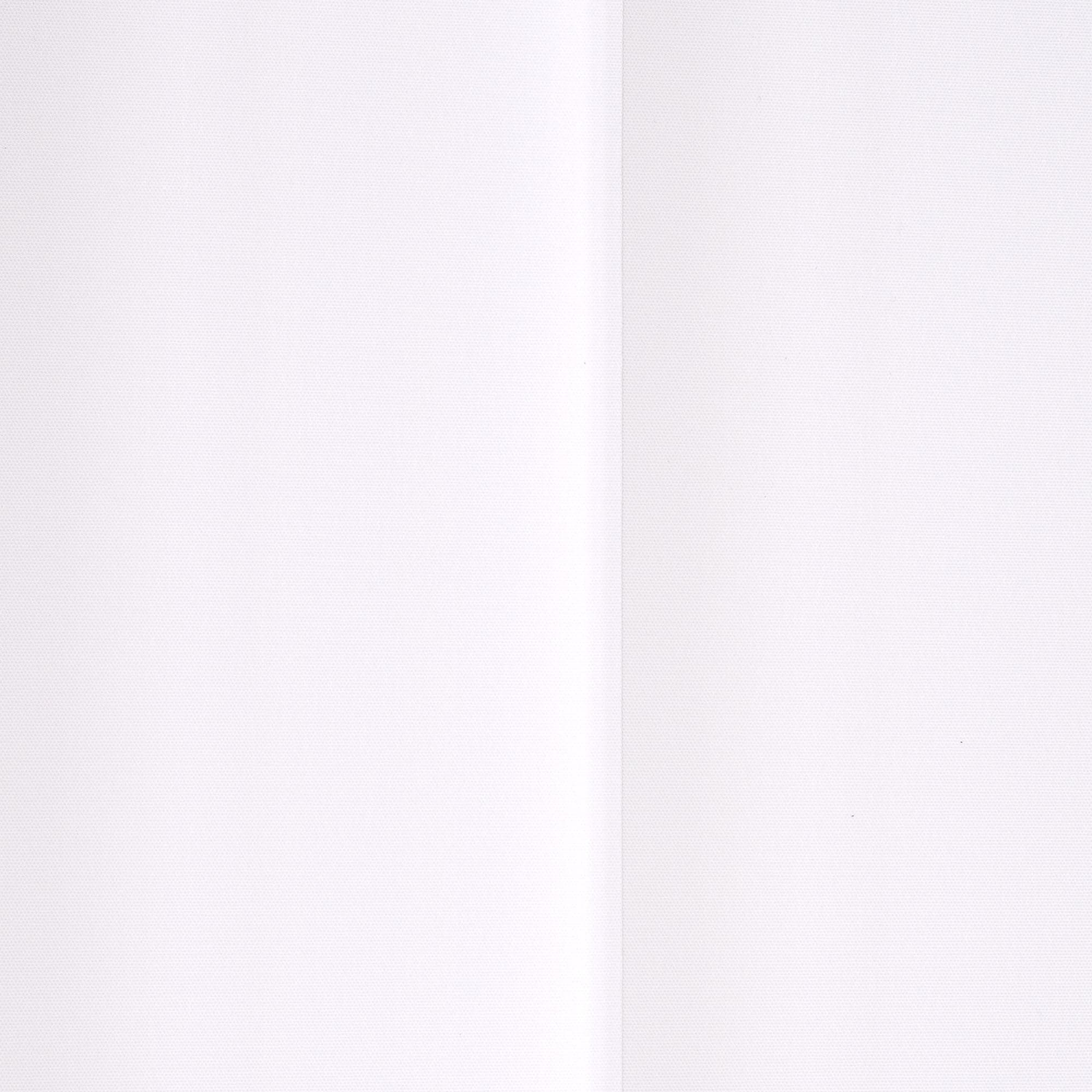 Liedeco Lamellenvorhang »Vertikalanlage 127 mm«, (1 St.) bestellen | BAUR