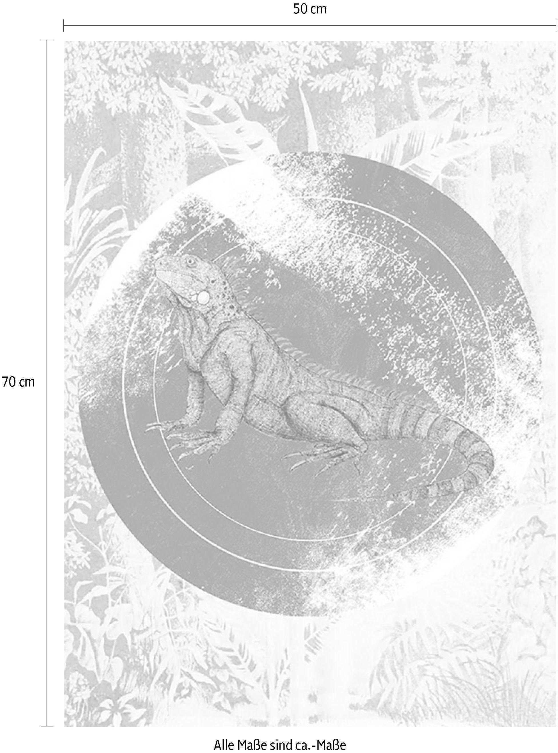 Komar Bild »Iguana Circle«, Tiere, (1 St.), Wandbild zur Dekoration - ohne Rahmen