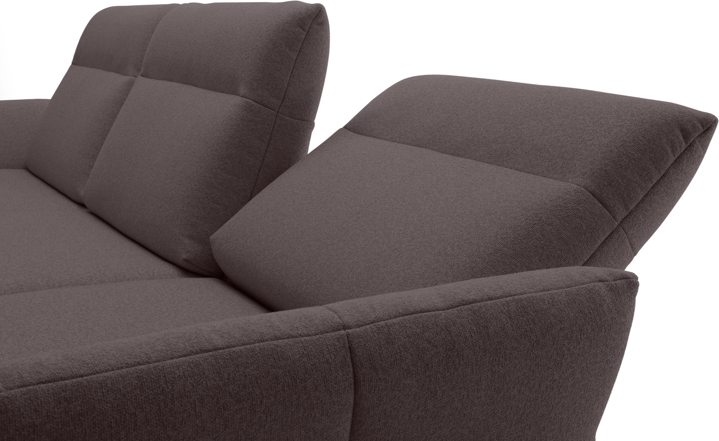 Creation BY ROLF BENZ Ecksofa »CR.460«, Sockel in Eiche, Winkelfüße in Umbragrau, Breite 318 cm