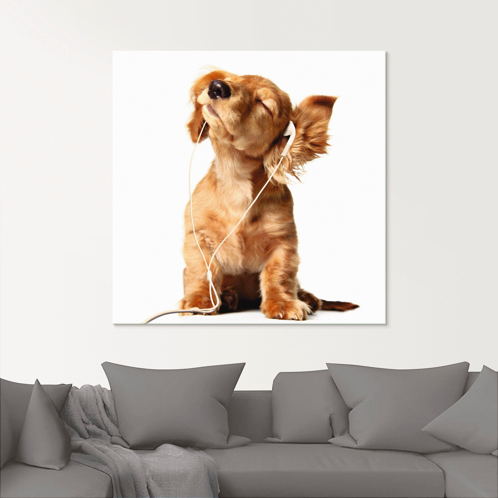 Artland Glasbild »Junger Hund hört Musik über Kopfhörer«, Haustiere, (1 St.), in verschiedenen Größen