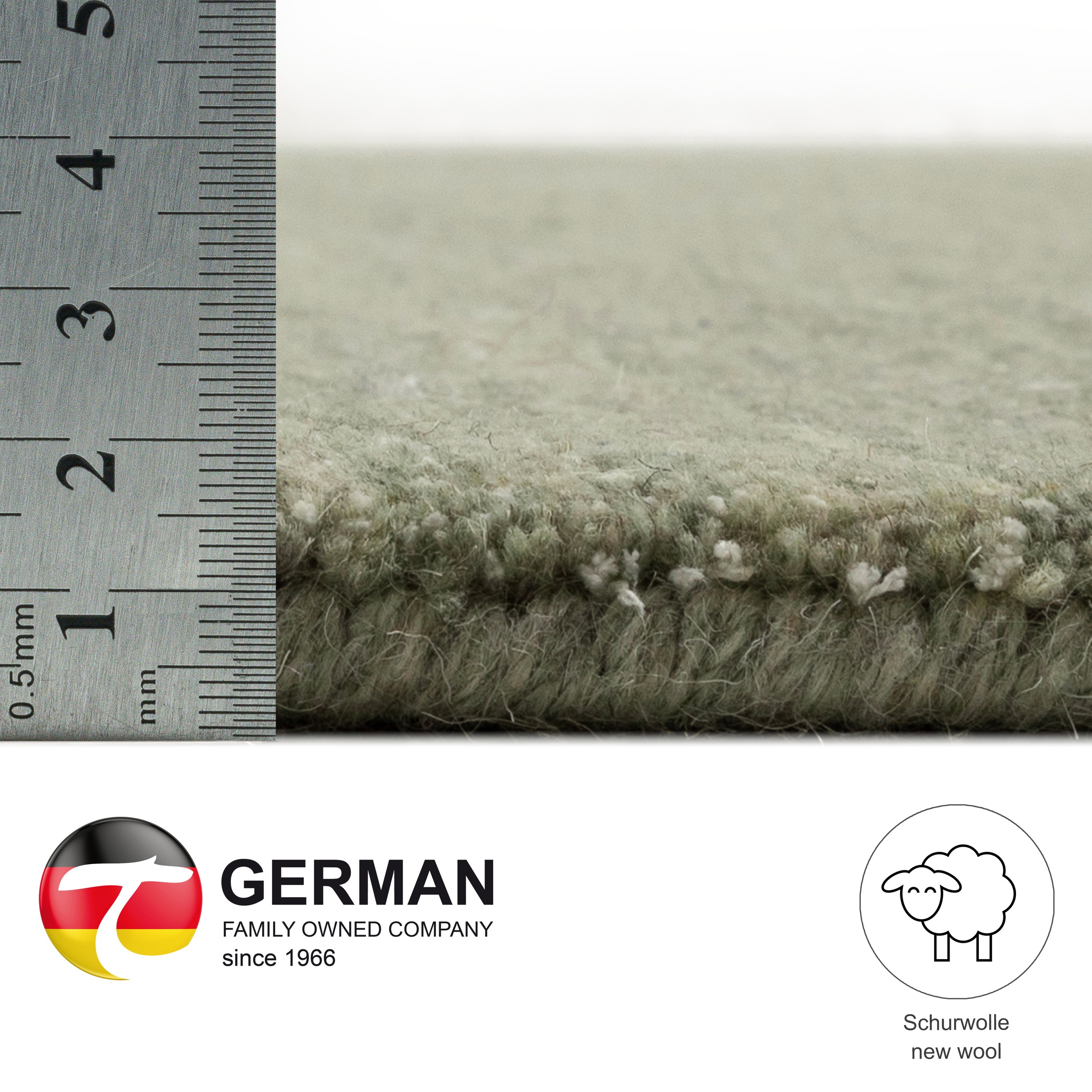THEKO San Diego Rug Green 300x400cm 3
