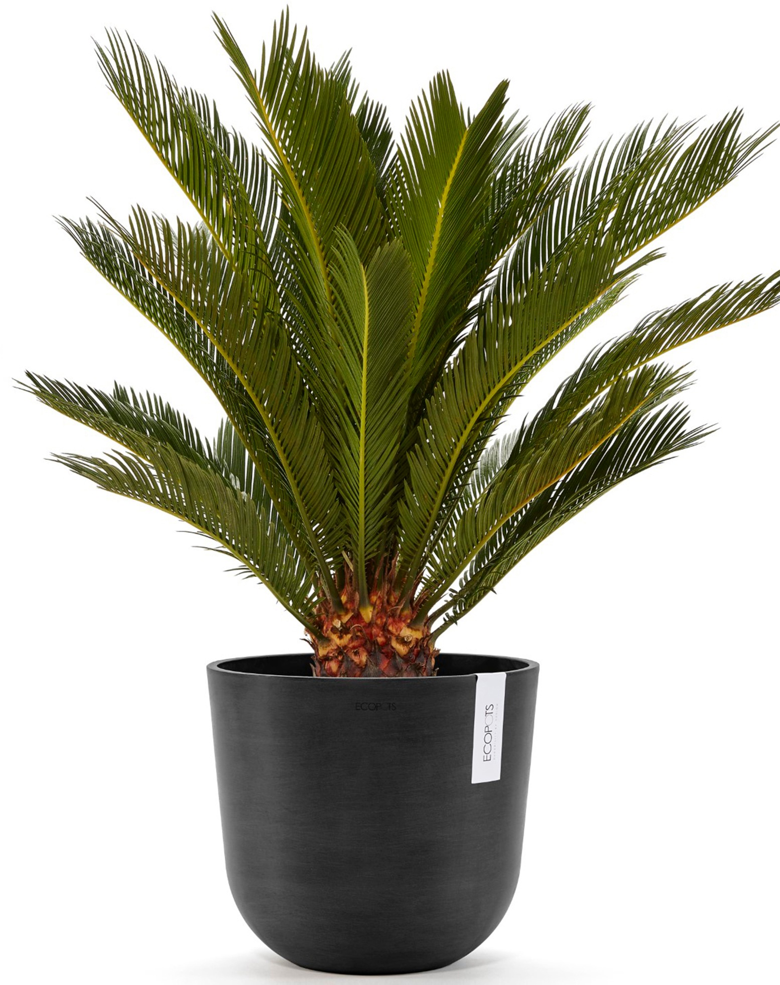 ECOPOTS Blumentopf »Oslo 25 + Wassersystem Dunkelgrau«, für innen und außen: frostsicher, bruchsicher und lichtbeständig
