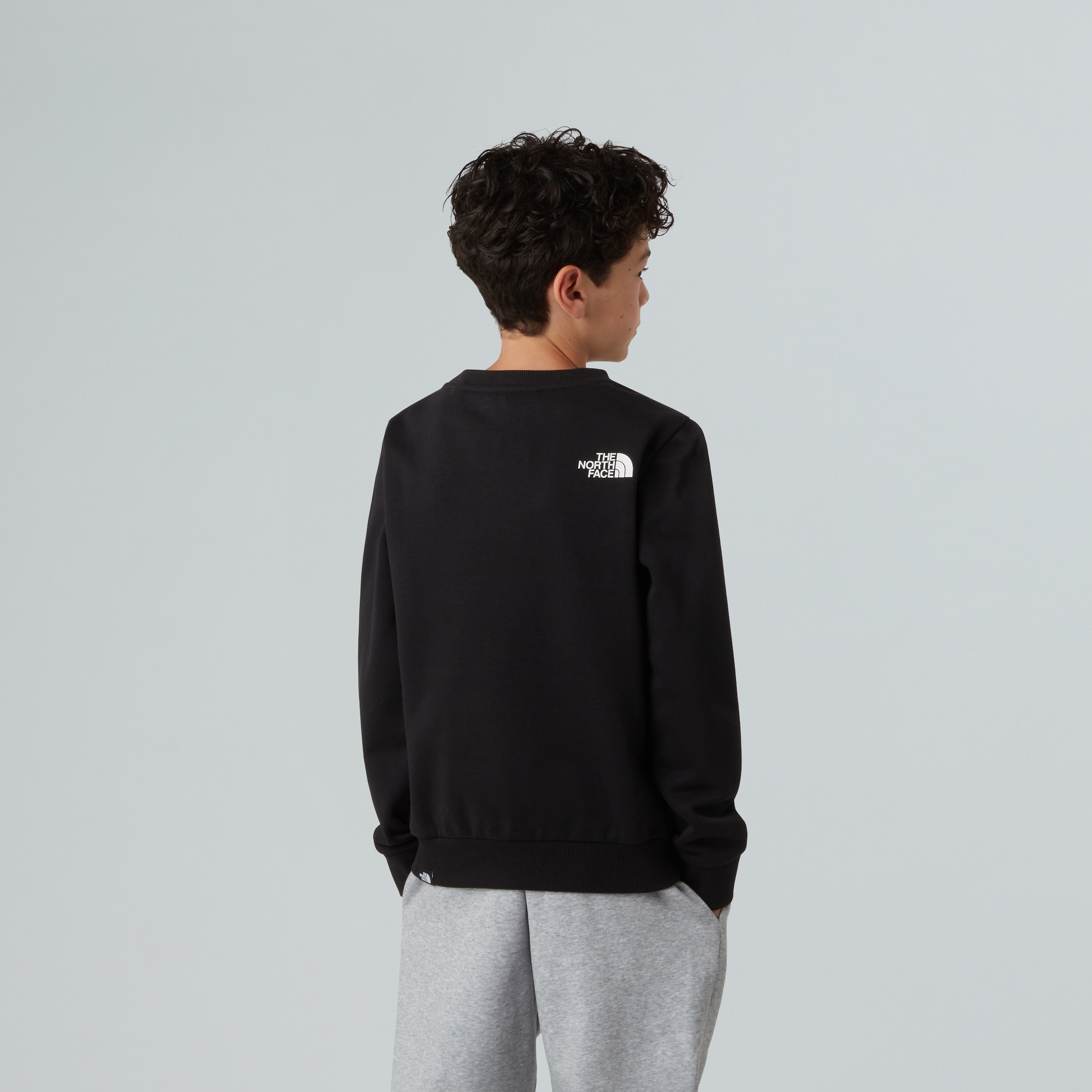 The North Face Sweatshirt
