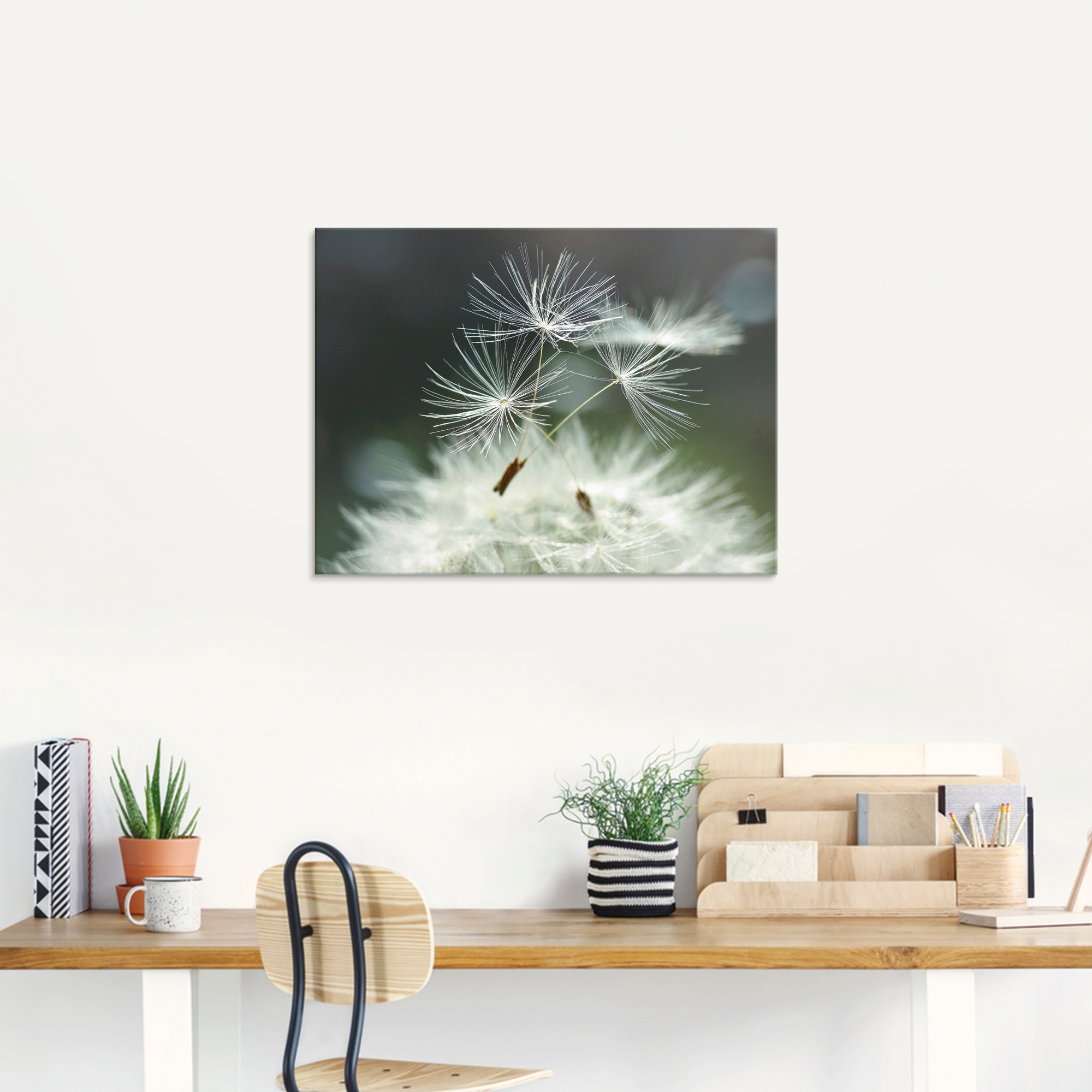 Artland Glasbild »Pusteblume Facility«, Blumen, (1 St.), in verschiedenen Größen