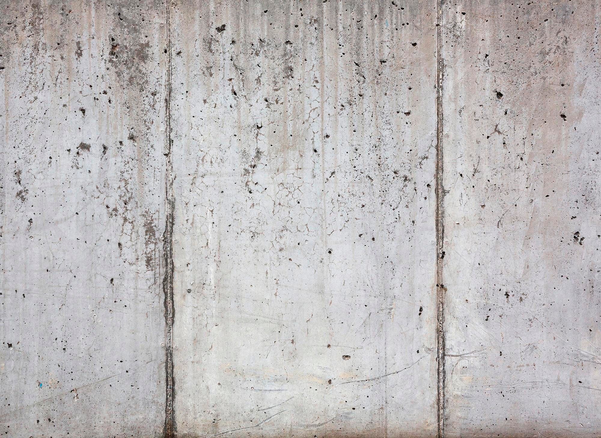 living walls Fototapete "Beton" glatt Fototapete Floral Grau weiß 3,50 m x 2,55 m Tapete