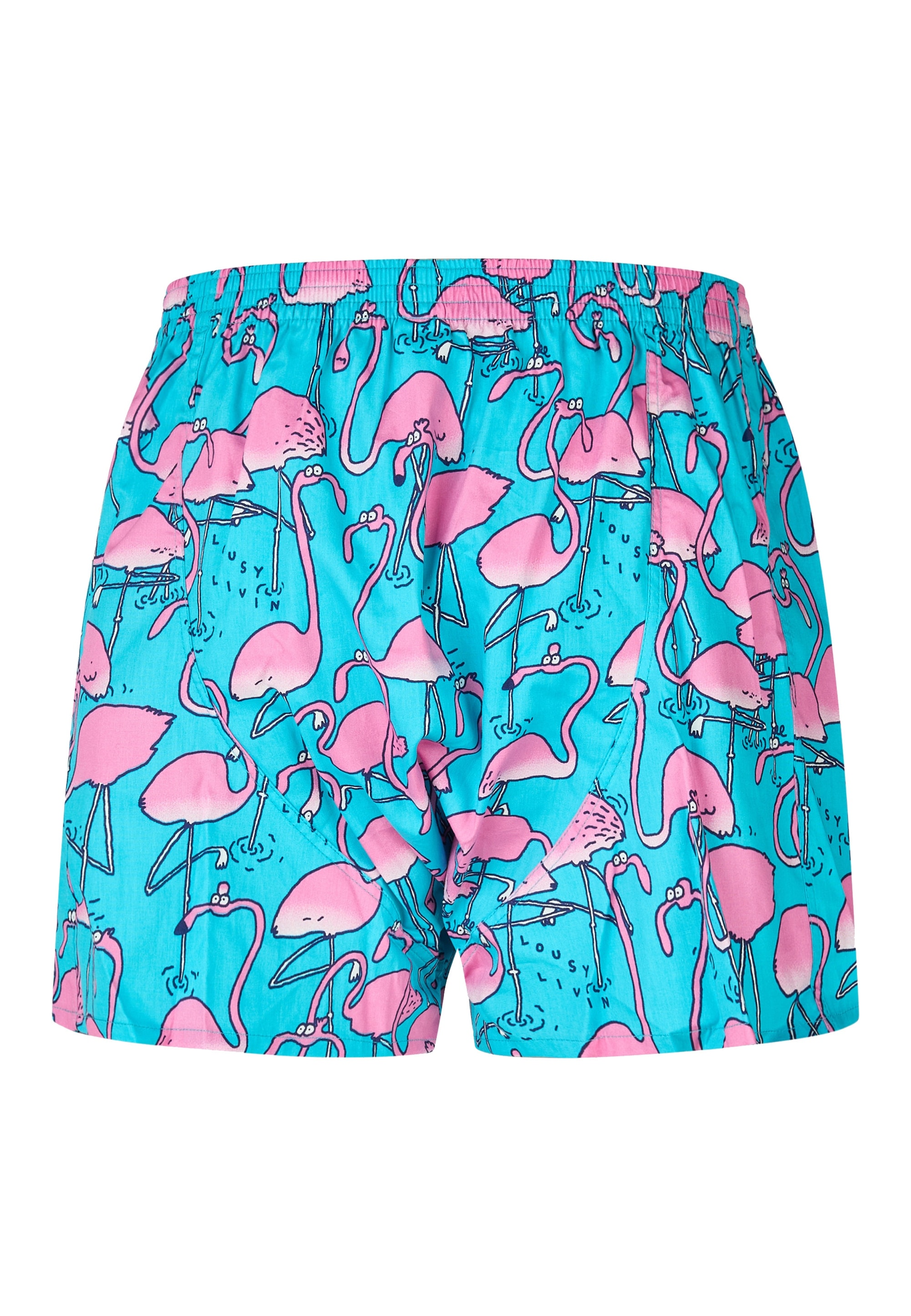 Lousy Livin Boxershorts »Into the Blue« mit lässigen Allover-Prints
