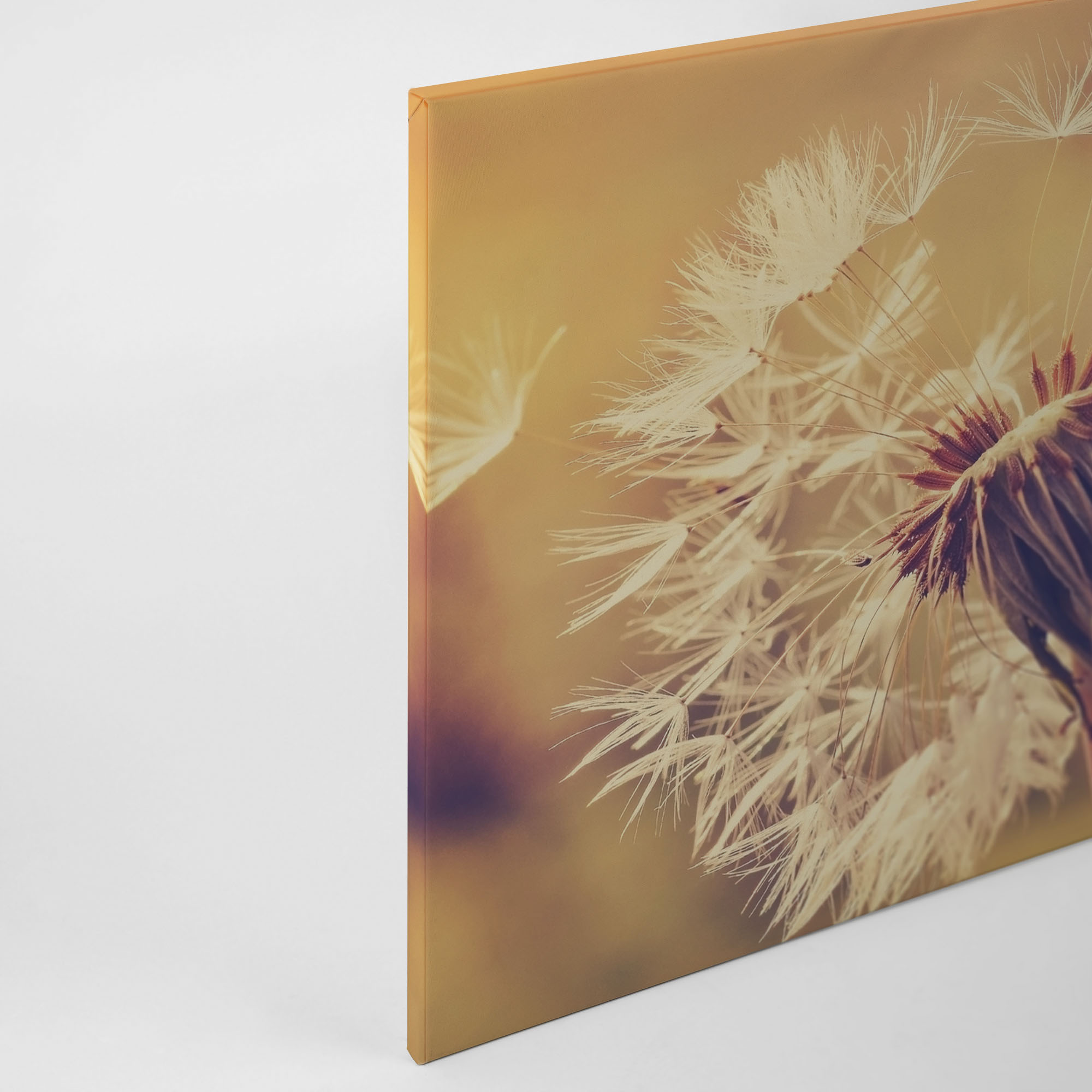 Thumbnail - A.S. Création Leinwandbild "Dandelion" Gemälde Kunst 1 Stk. tlg. Pusteblume Keilrahmen Leinwand-Bild Wohnzimmer modern ...