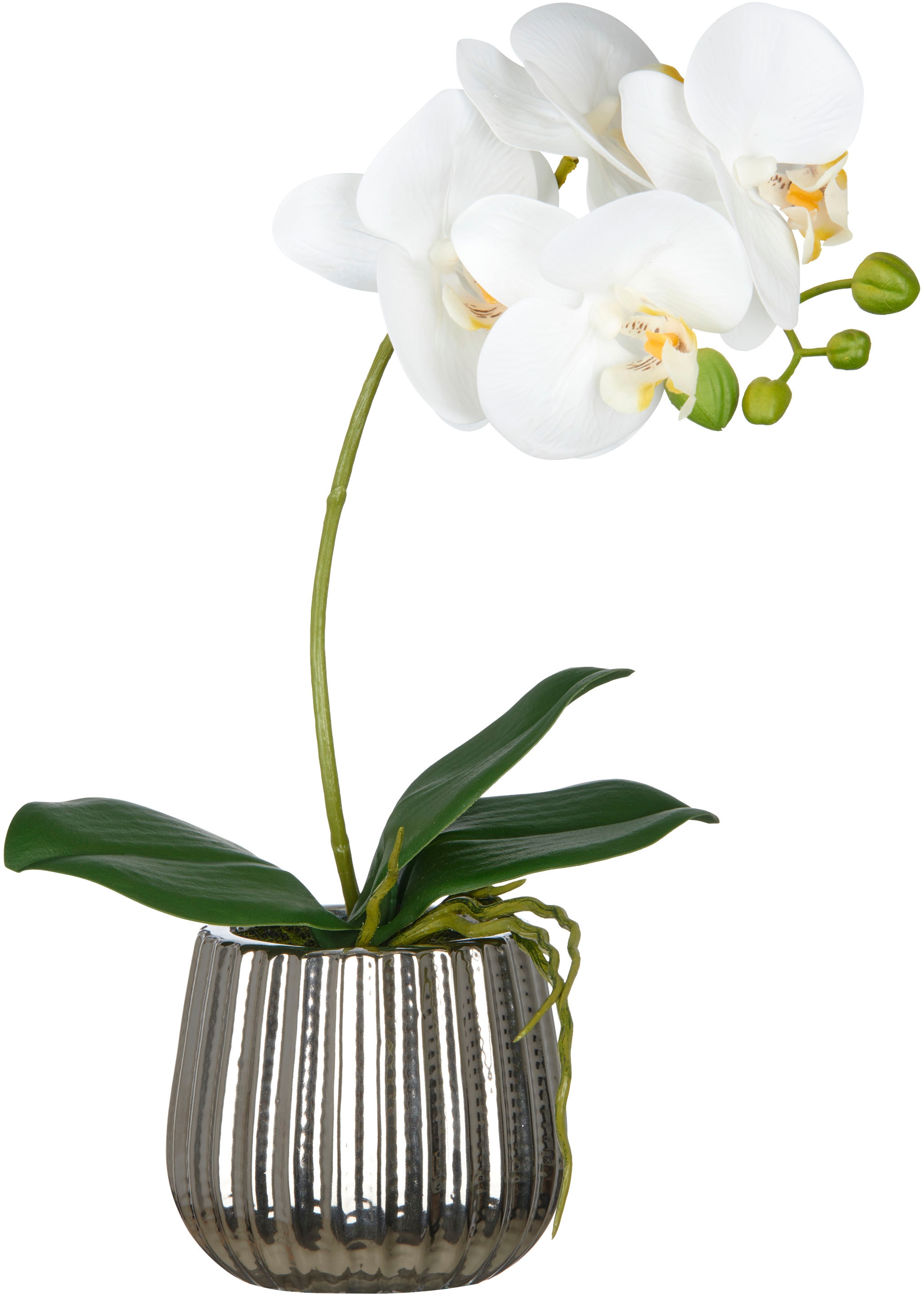 Creativ green Kunstorchidee "Phalaenopsis" mit Real-Touch-Blüten