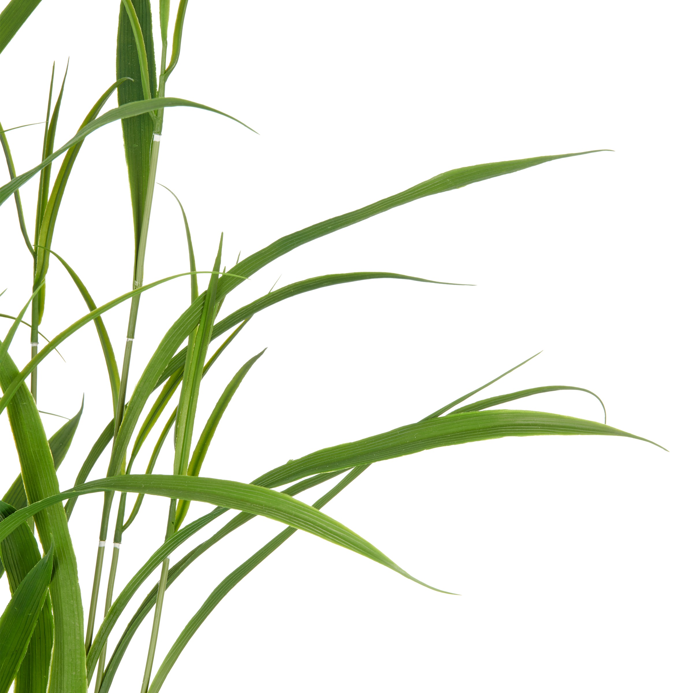 Creativ green Kunstgras "Grasbusch", mit filigranen Grashalmen günstig online kaufen