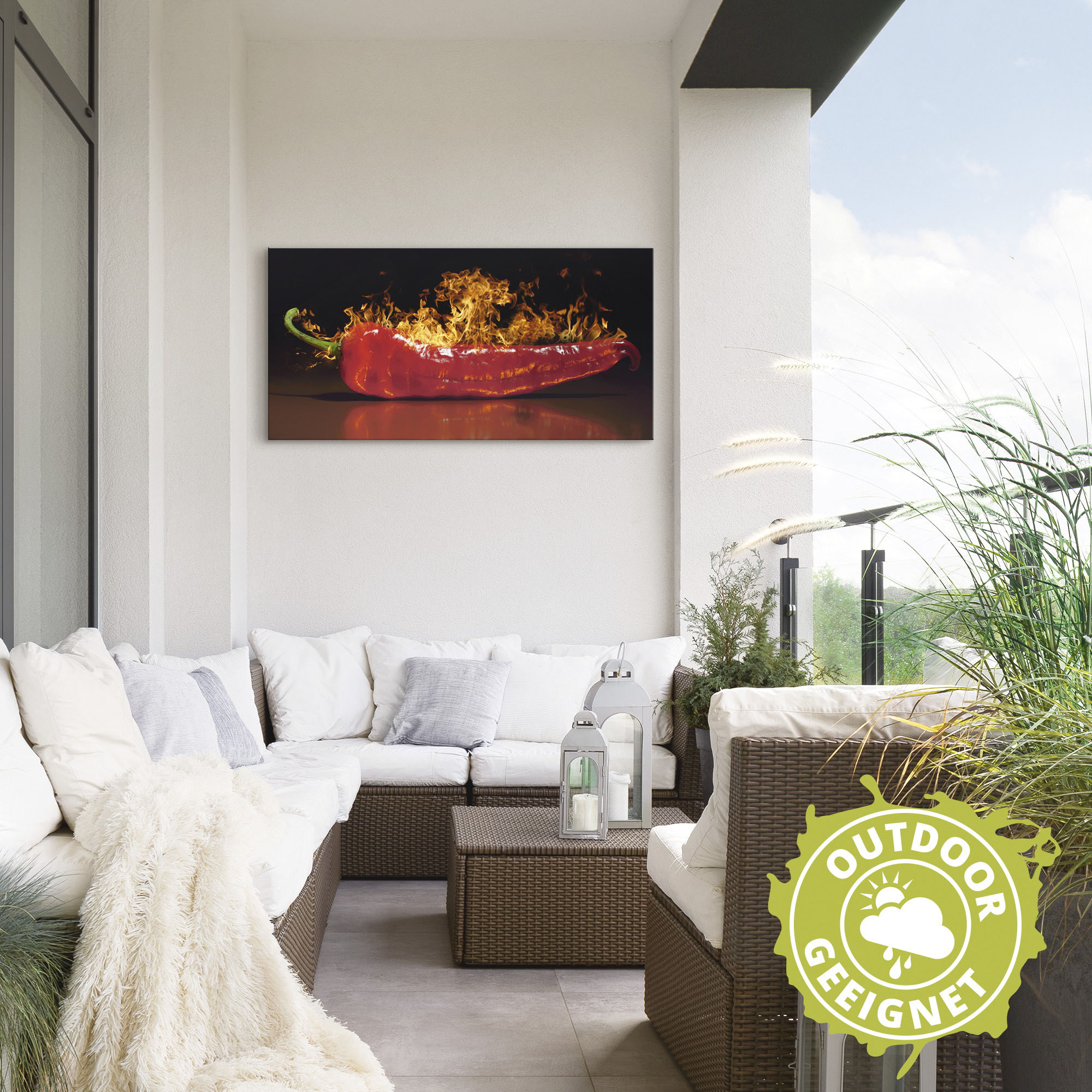 Thumbnail - Artland Wandbild "Roter scharfer Chilipfeffer", Lebensmittel, (1 St.), als Alubild, Outdoorbild, Leinwandbild, Poster, W...