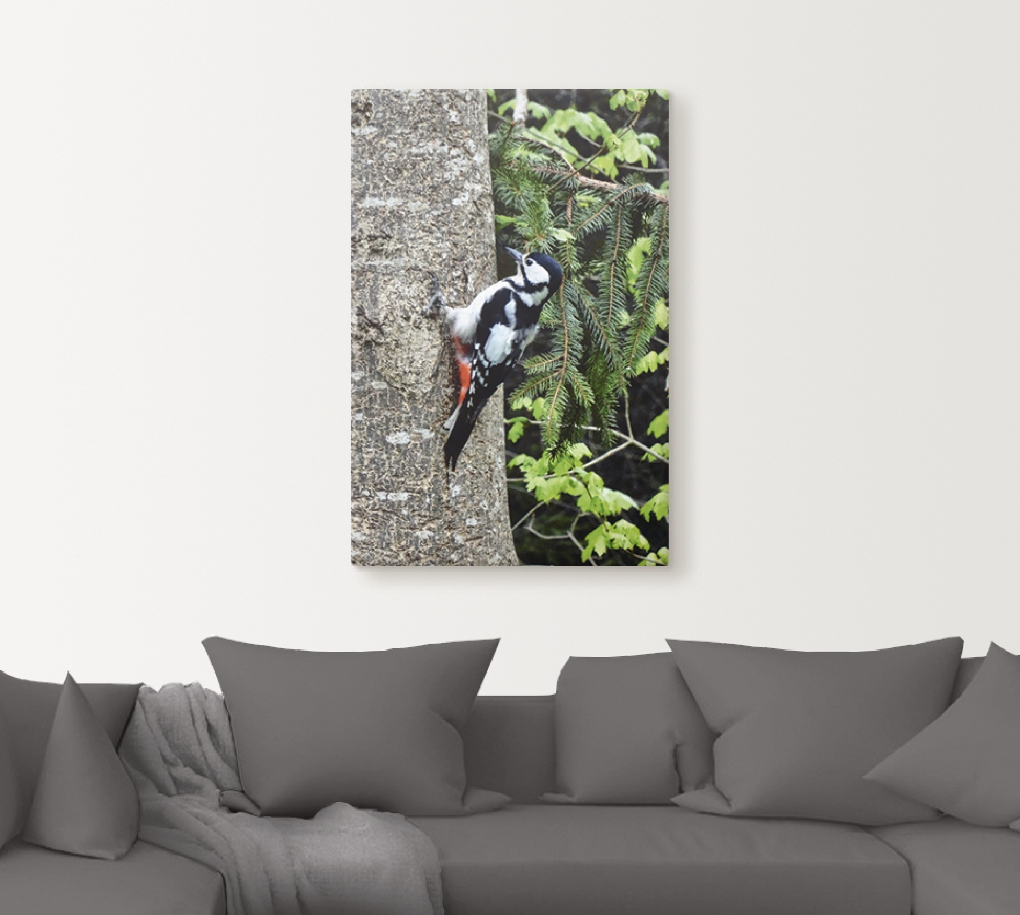 Artland Wandbild "Buntspecht im Wald", Vögel, (1 St.), als Leinwandbild, Po günstig online kaufen