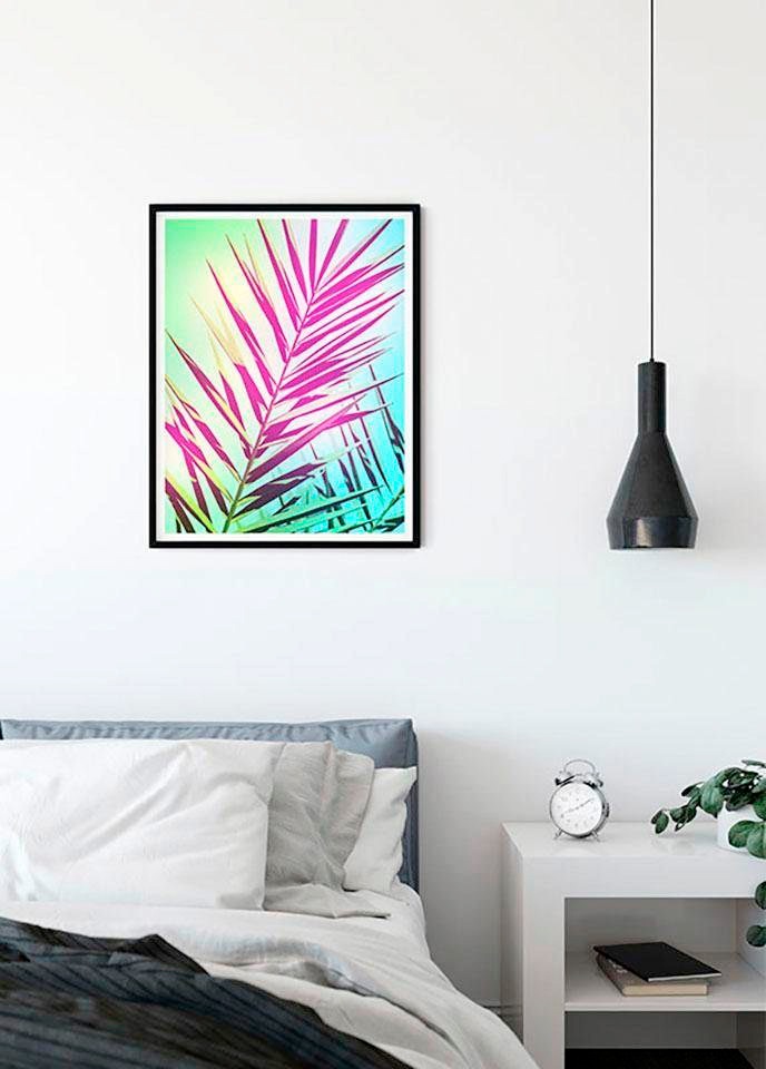 Komar Bild »Shine« Blätter | Pflanzen 1 Stk. tlg. Wandbild zur Dekoration - ohne Rahmen