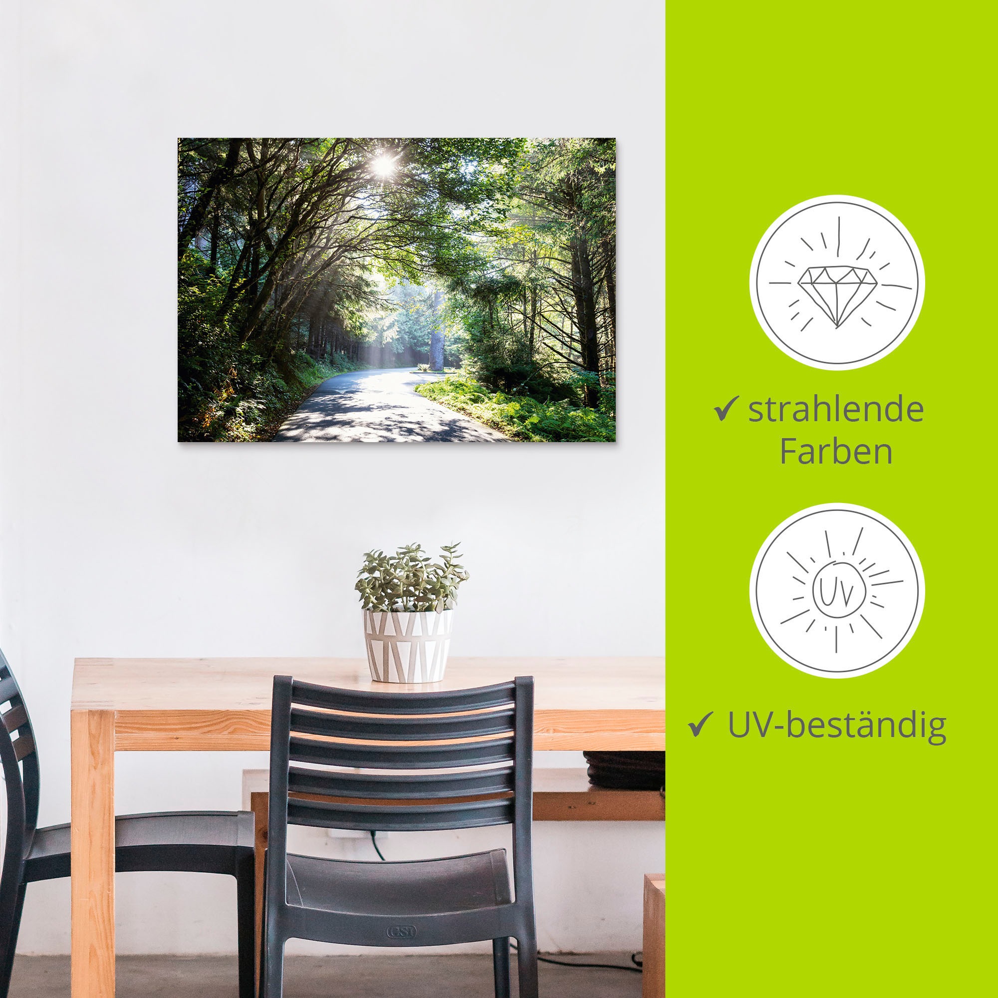 Artland Wandbild »Sonniger Wald«, Baumbilder, (1 St.), als Alubild, Outdoorbild, Leinwandbild, Poster in verschied. Größen