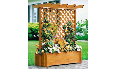 Spalier, Pergola mit Pflanzkasten, BxTxH: 140x65x140 cm