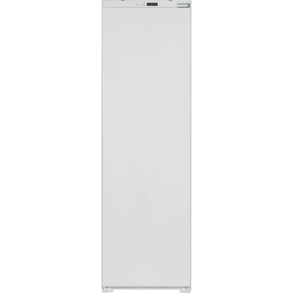 Sharp Einbaukühlschrank »SJ-LD300E00X-EU«, SJ-LD300E00X-EU, 177 cm hoch, 54 cm breit