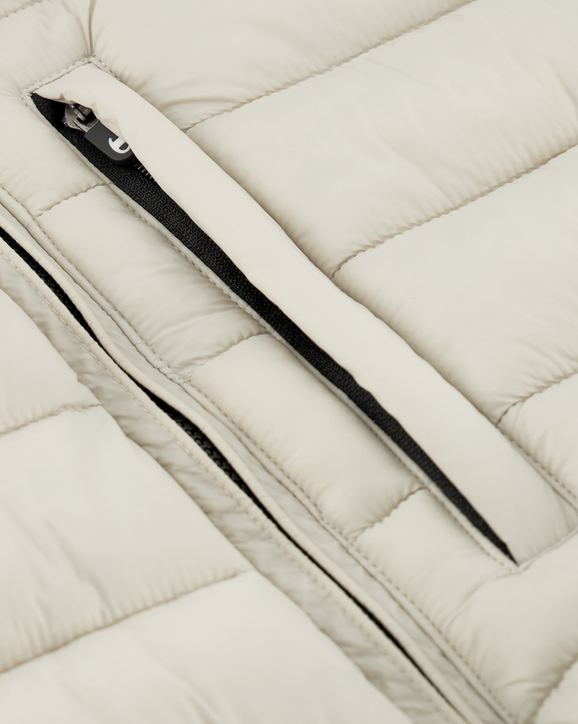 Champion Steppjacke »Hooded Jacket«, mit Kapuze