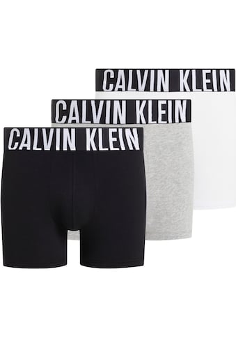 Calvin Klein Underwear Kelnaitės šortukai »BOXER BRIEF 3PK« (...