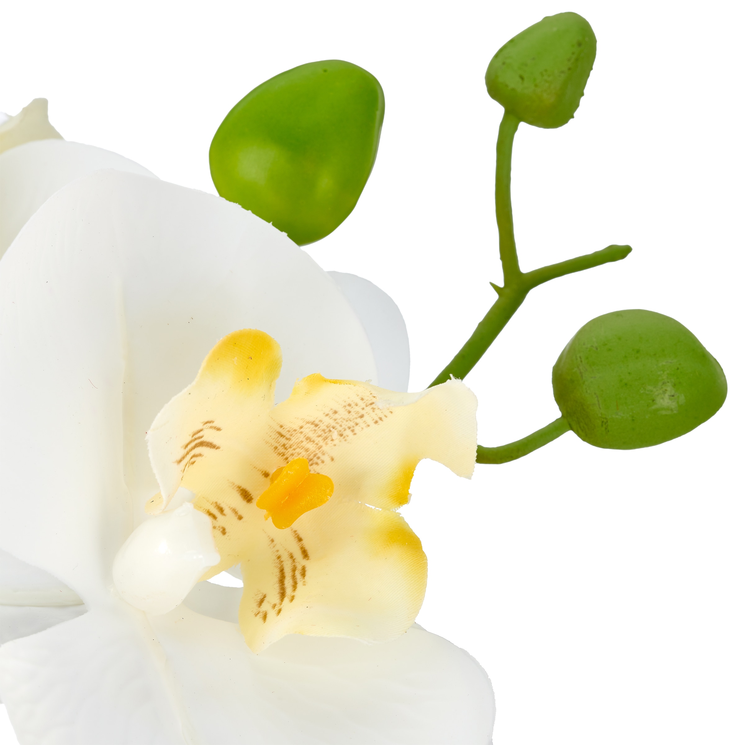 Creativ green Kunstorchidee »Phalaenopsis« mit Real-Touch-Blüten