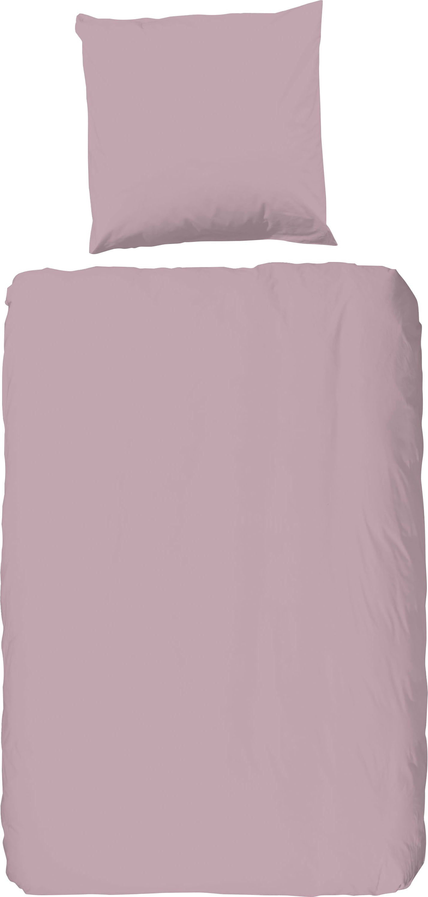 good morning Bettwäsche "Good Morning Uni" 2 Stk. tlg. 100% Baumwolle, Renf günstig online kaufen