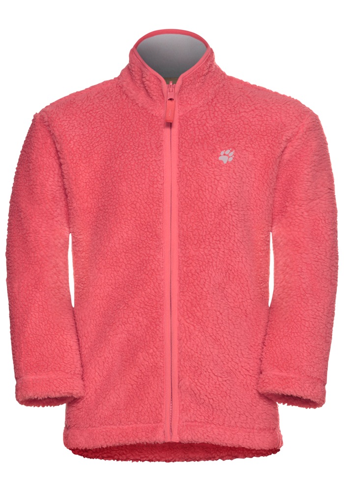Jack Wolfskin 3-in-1-Funktionsjacke »3IN1 CANVEY KIDS«, mit Kapuze
