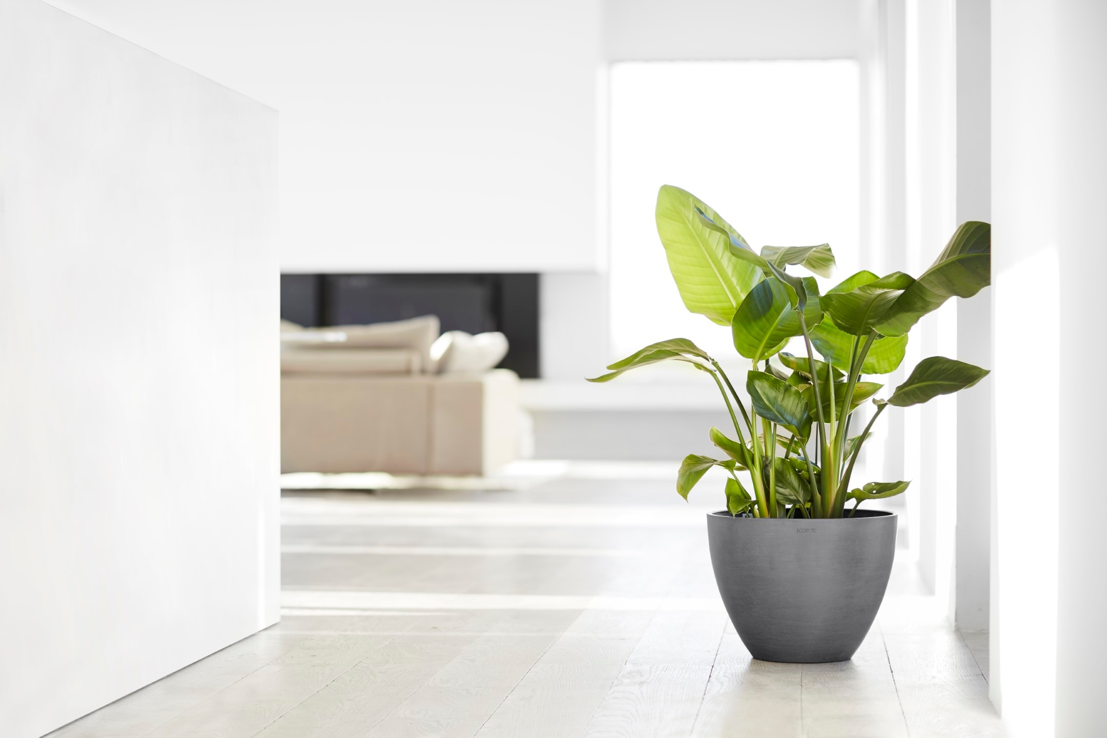 ECOPOTS Blumentopf »ANTWERP Grey«, BxTxH: 40x40x30 cm