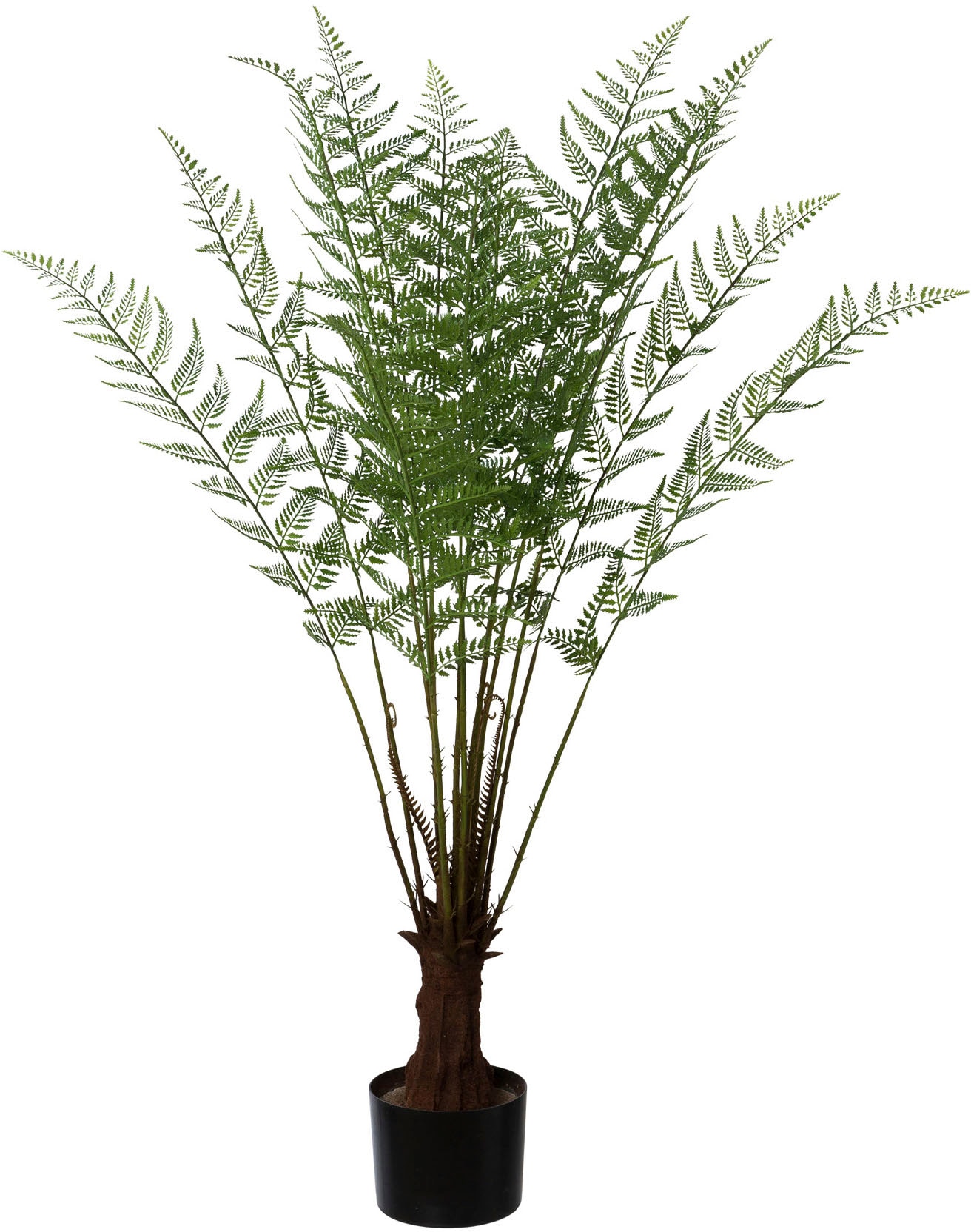 Creativ green Kunstpflanze »Baumfarn«, im Kunststofftopf