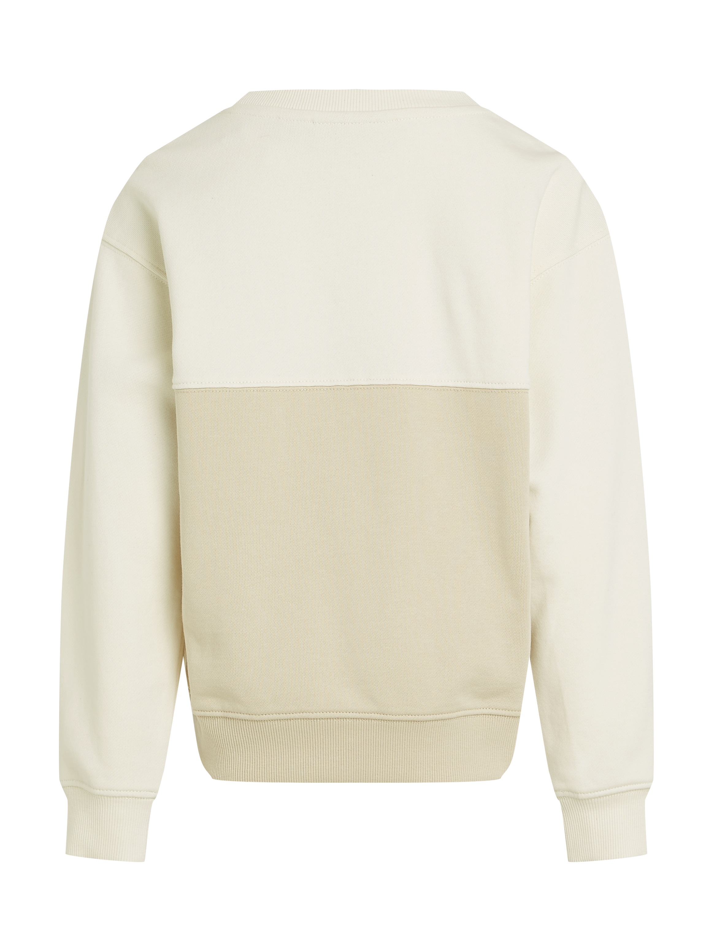 Calvin Klein Jeans Sweatshirt »COLOR BLOCK TERRY CN«, im Colorblock-Design