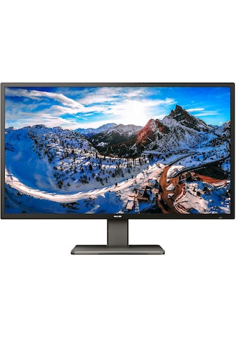 Philips Gaming-Monitor »439P1/00« 108 cm/425 Z...