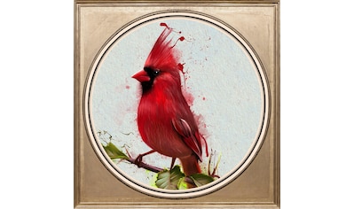 Acrylglasbild »Roter Vogel«
